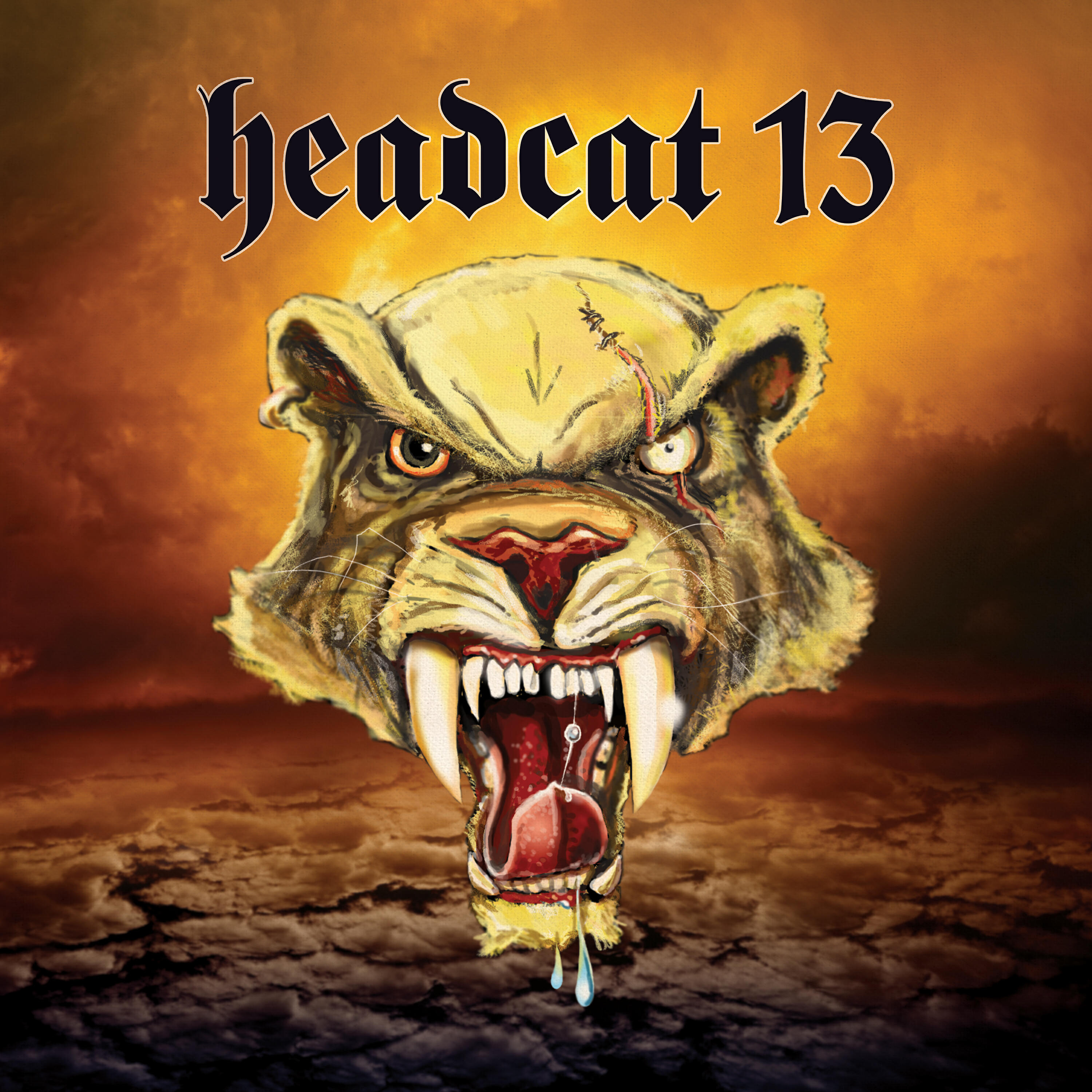 Релиз Headcat 13