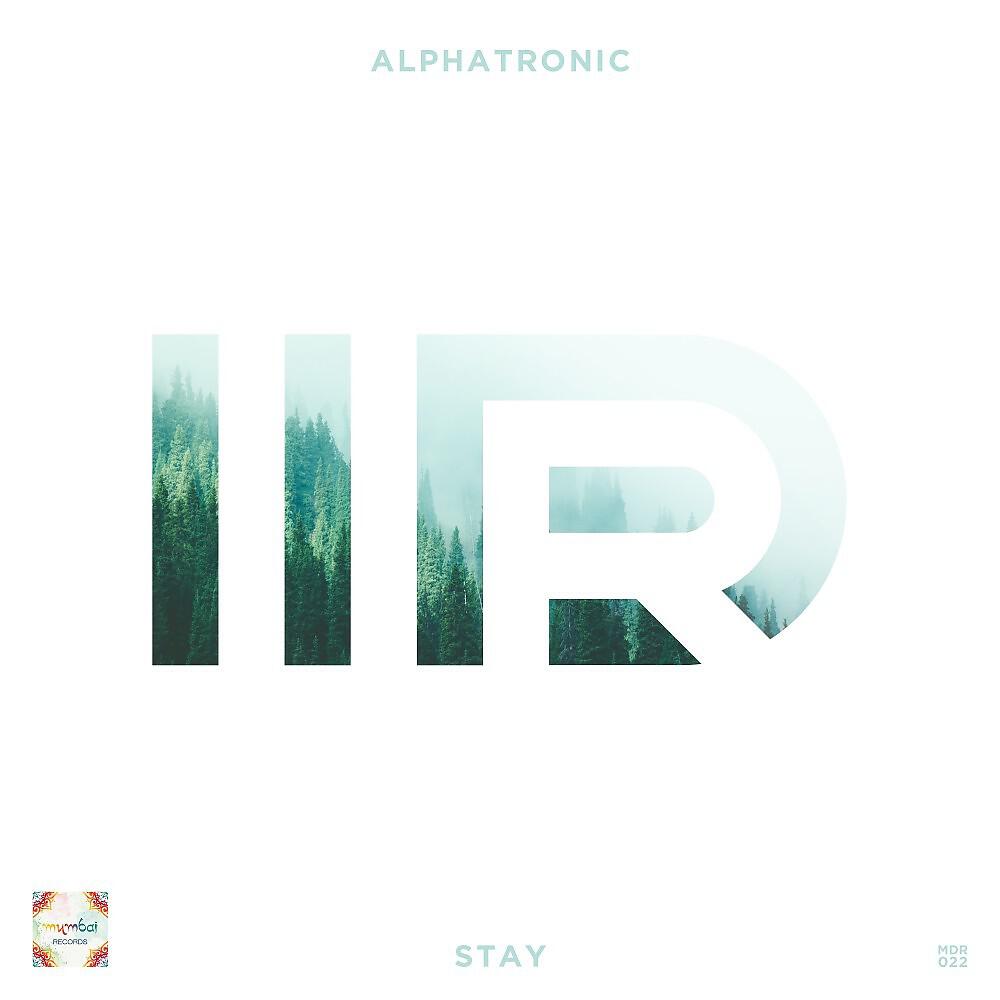 Релиз Stay (Blackrays Remix)