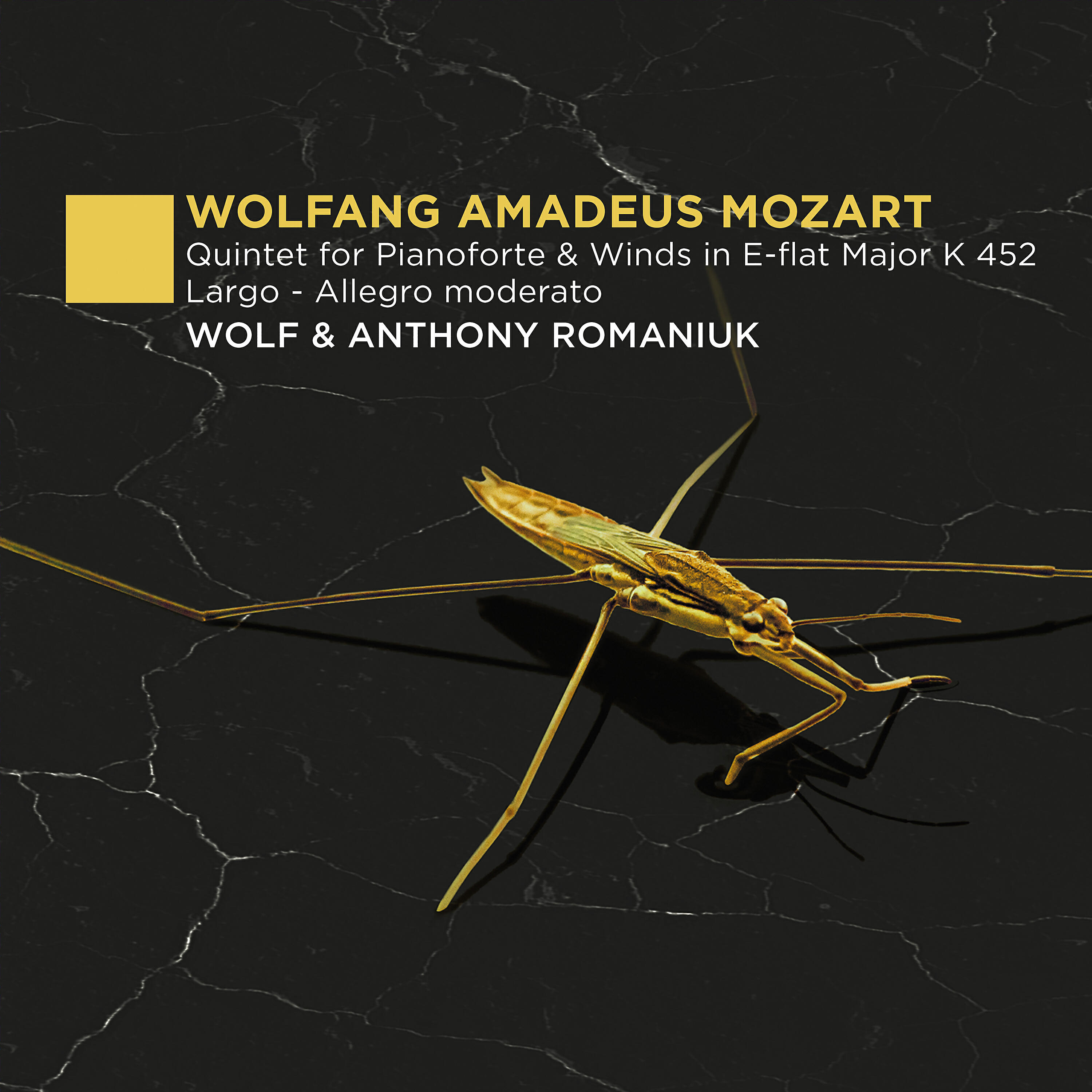 Релиз Quintet for Piano and Winds in E-Flat Major, K 452: I. Largo - Allegro moderato