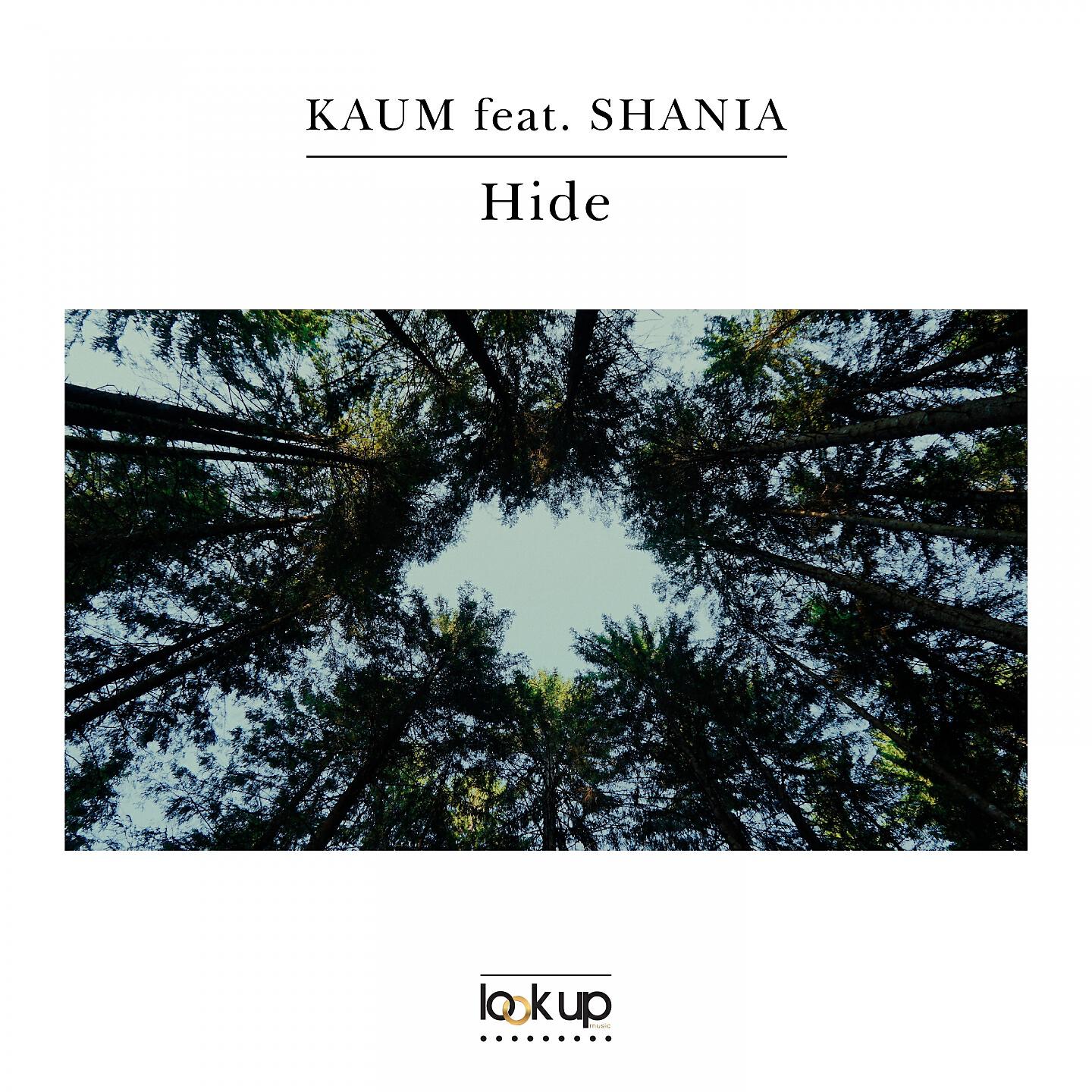 Релиз Hide