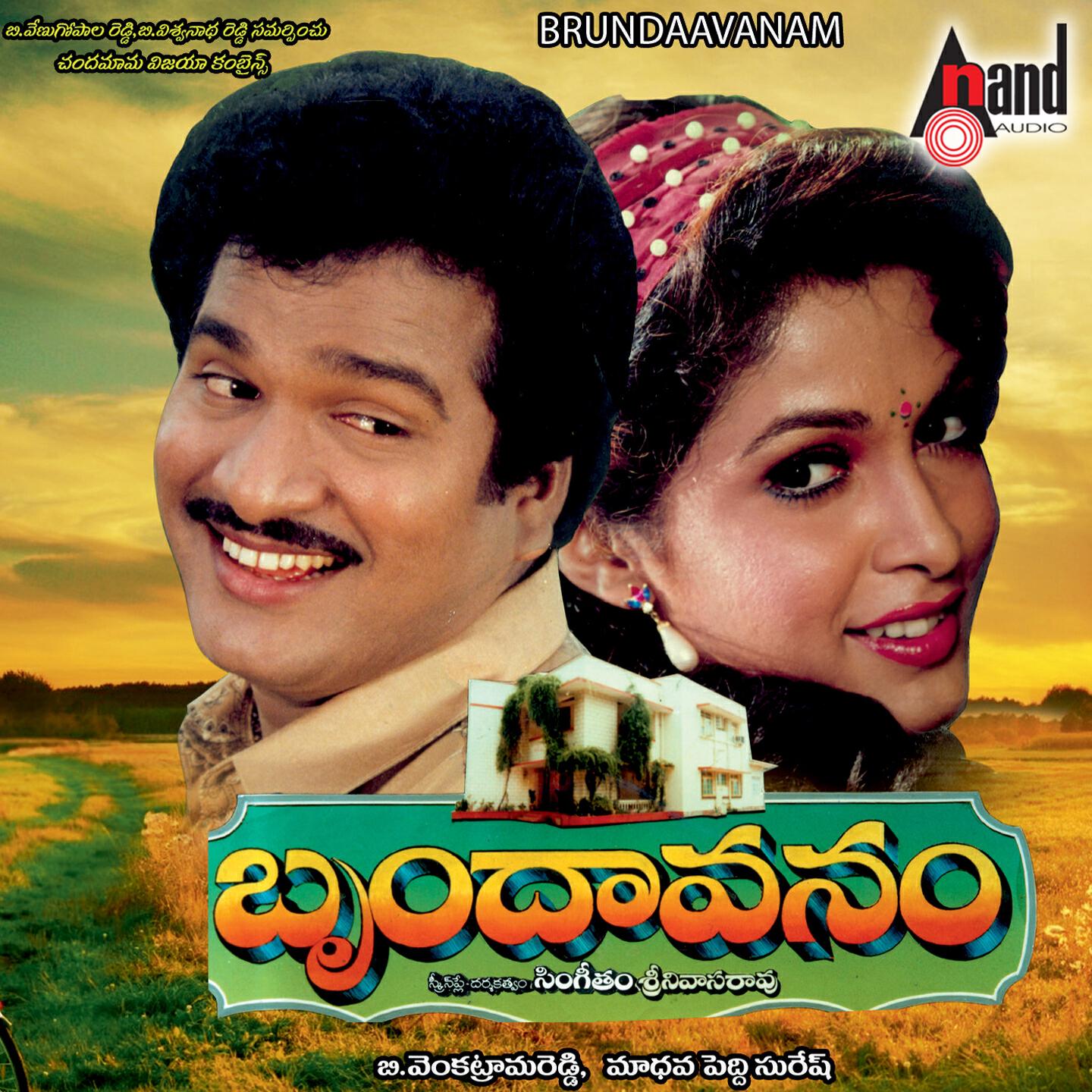 Релиз Brundaavanam