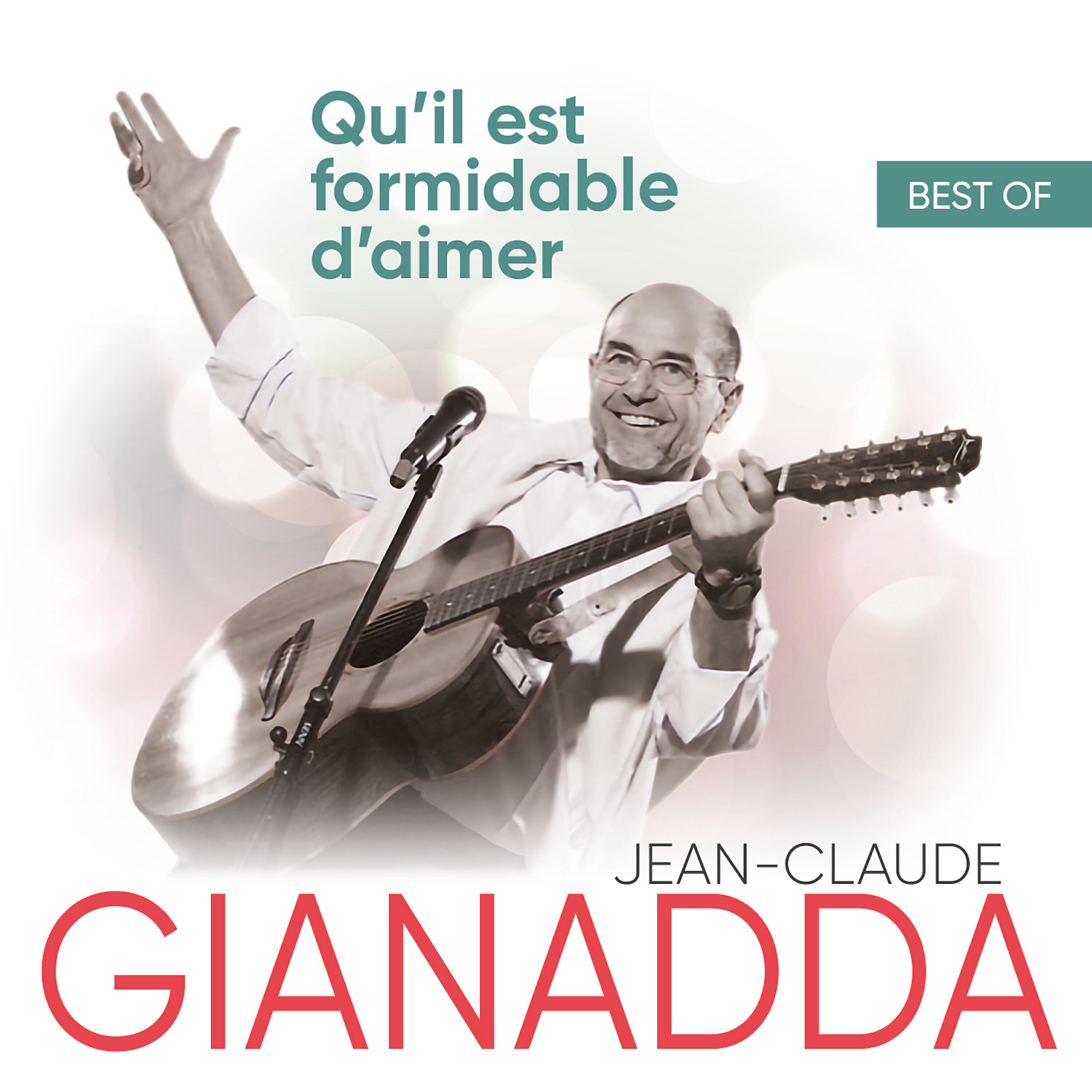 Постер альбома Qu'il est formidable d'aimer : Best Of
