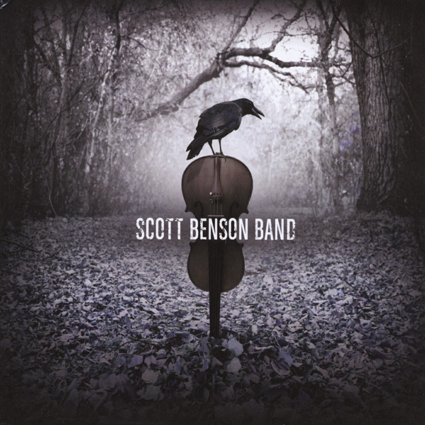 Релиз Scott Benson Band