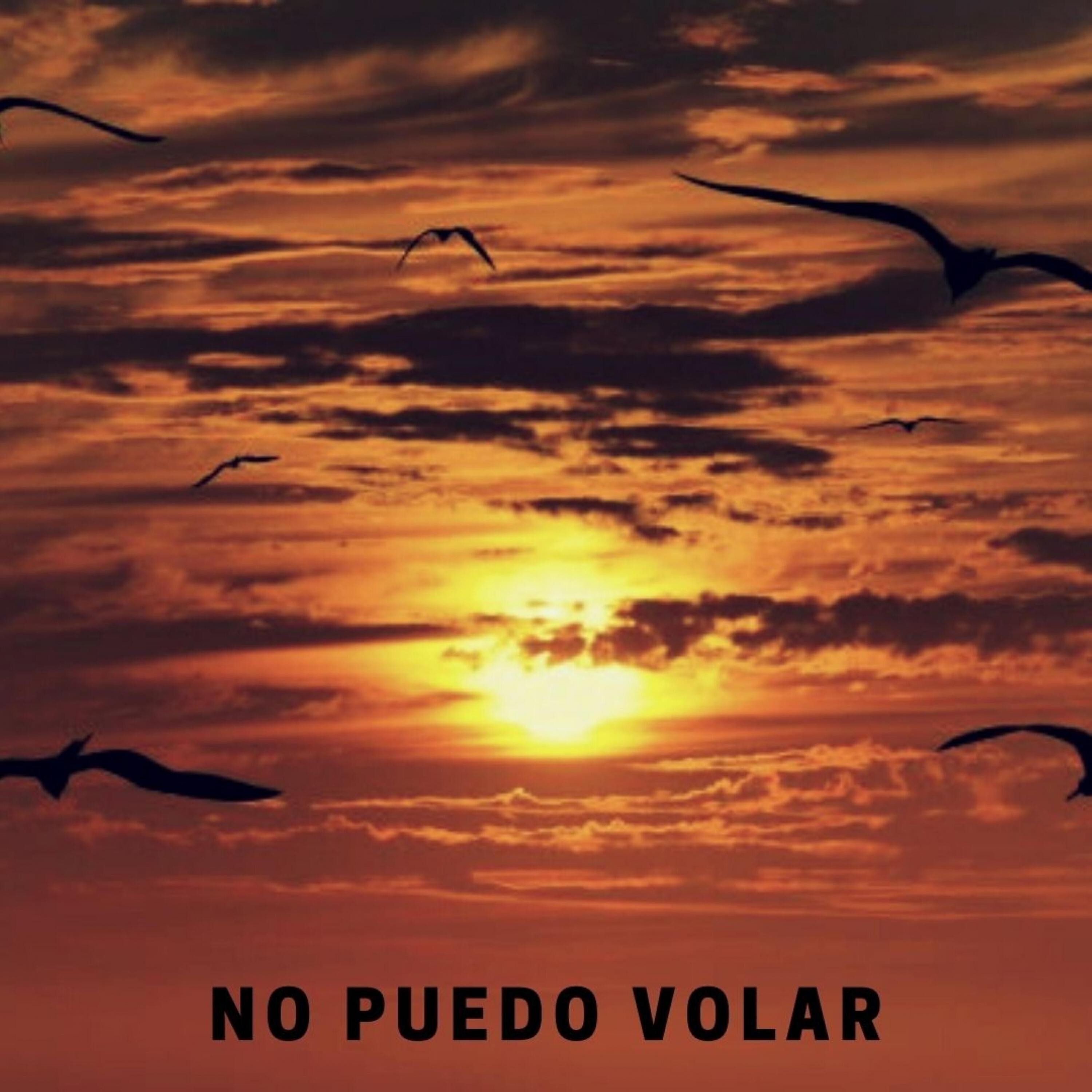 Релиз No puedo volar