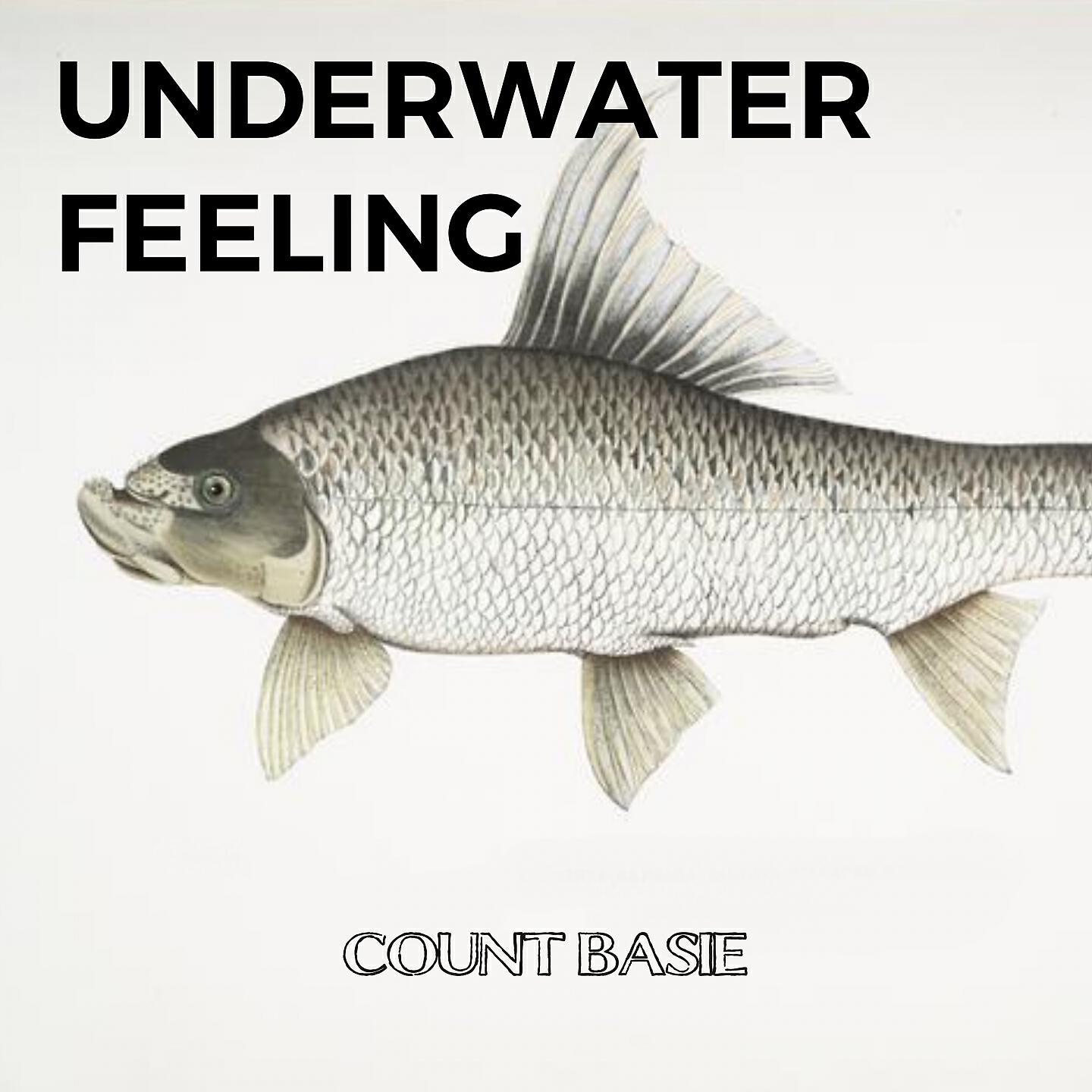 Релиз Underwater Feeling
