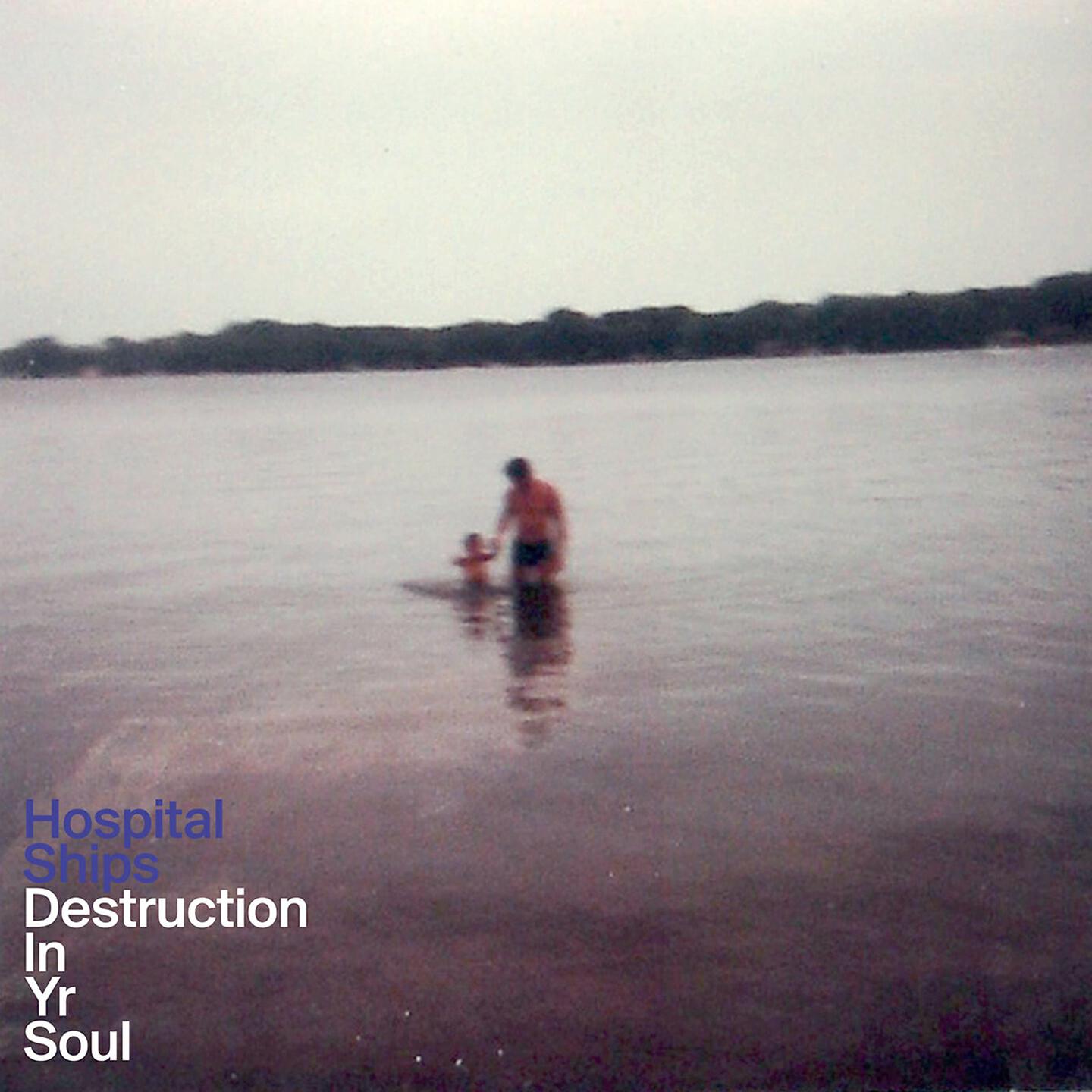 Релиз Destruction in Yr Soul