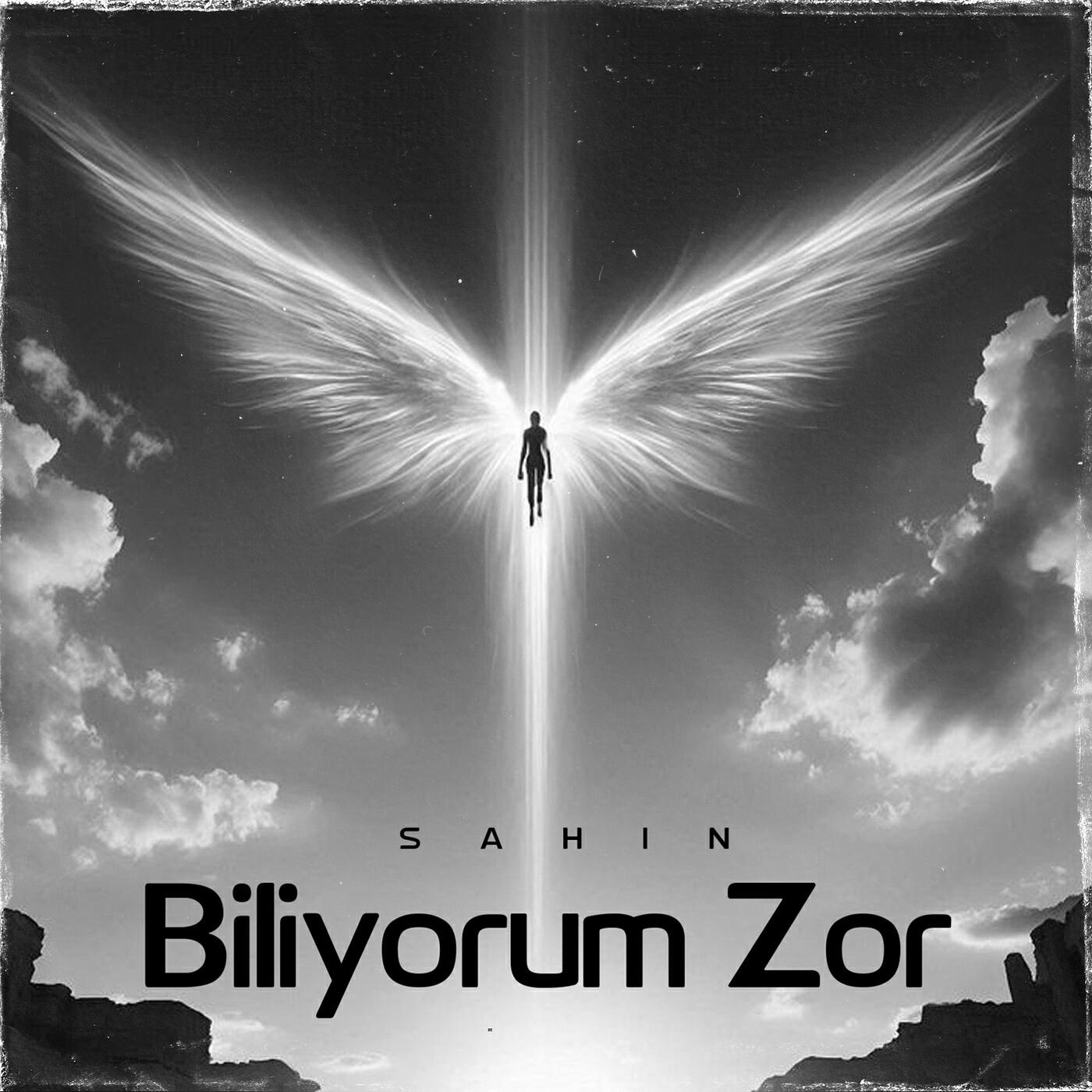 Релиз Biliyorum Zor