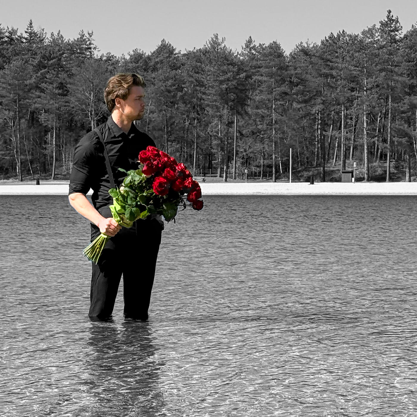 Релиз Never Again