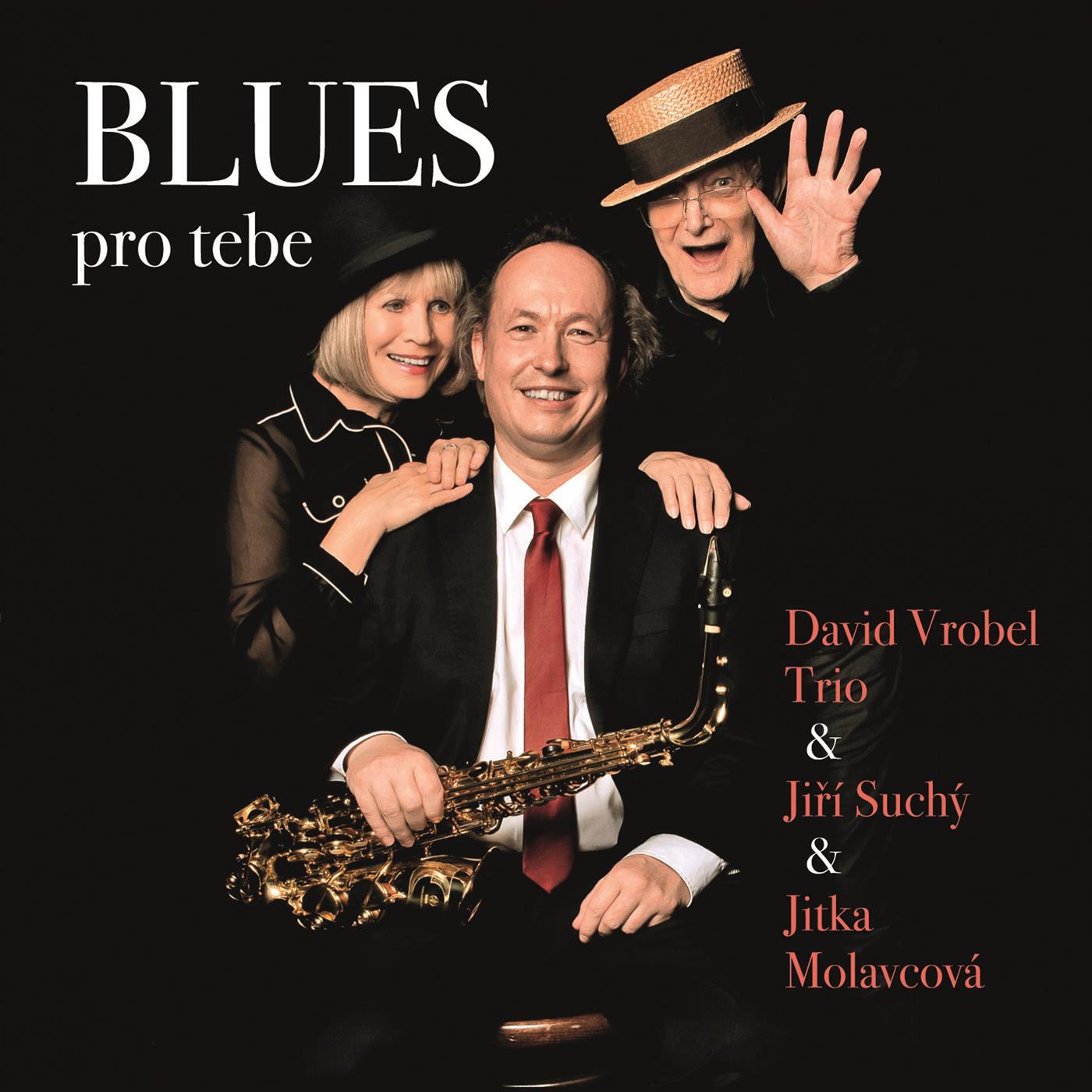 David Vrobel Trio