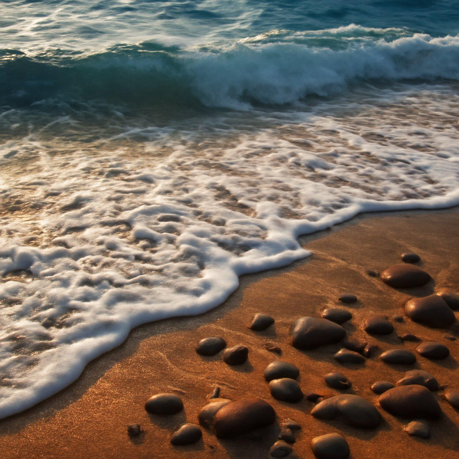 Релиз Ocean Sounds