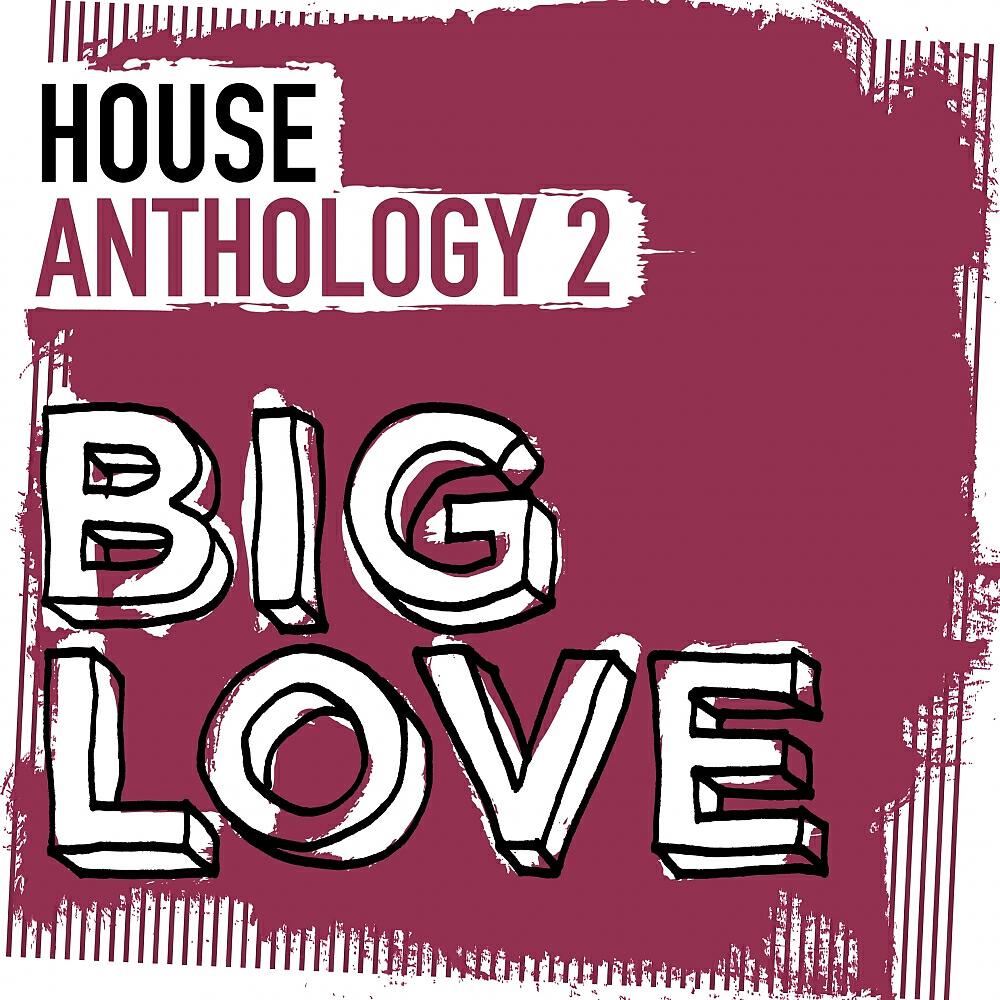 Релиз Big Love House Anthology 2