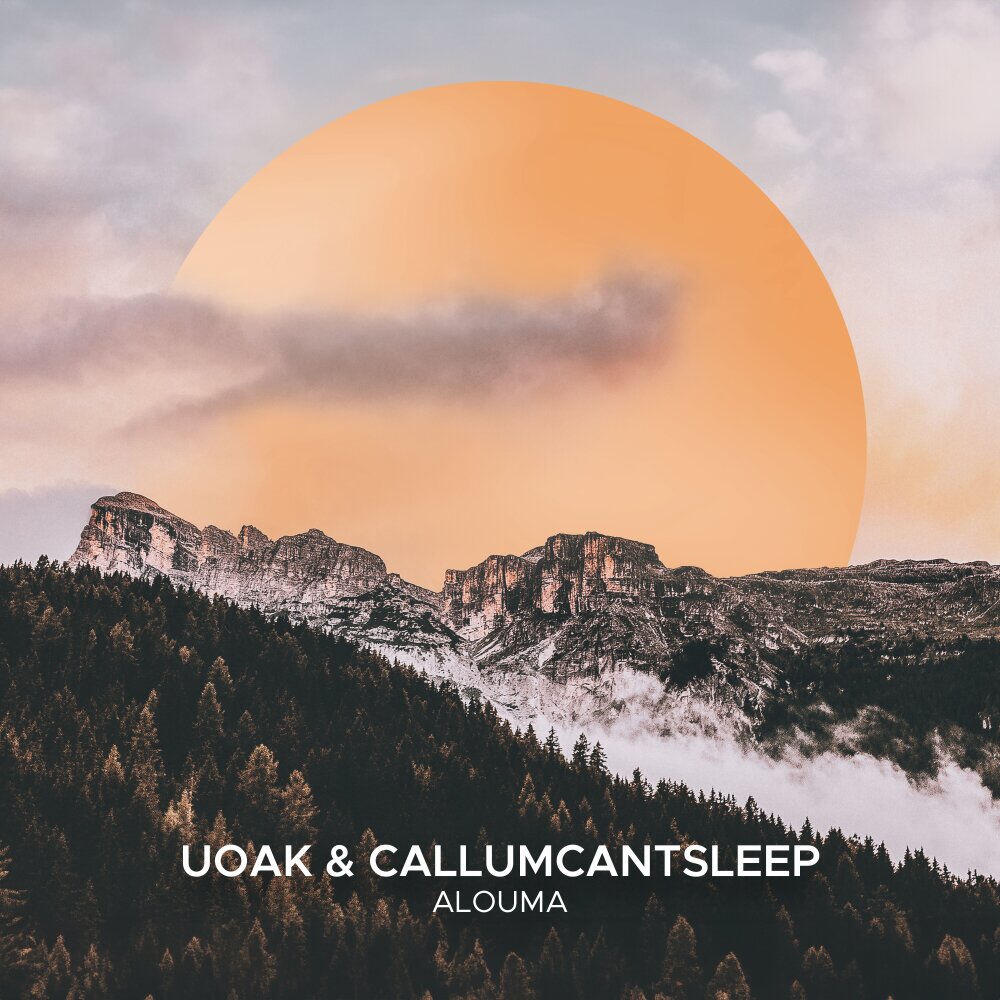Релиз Alouma