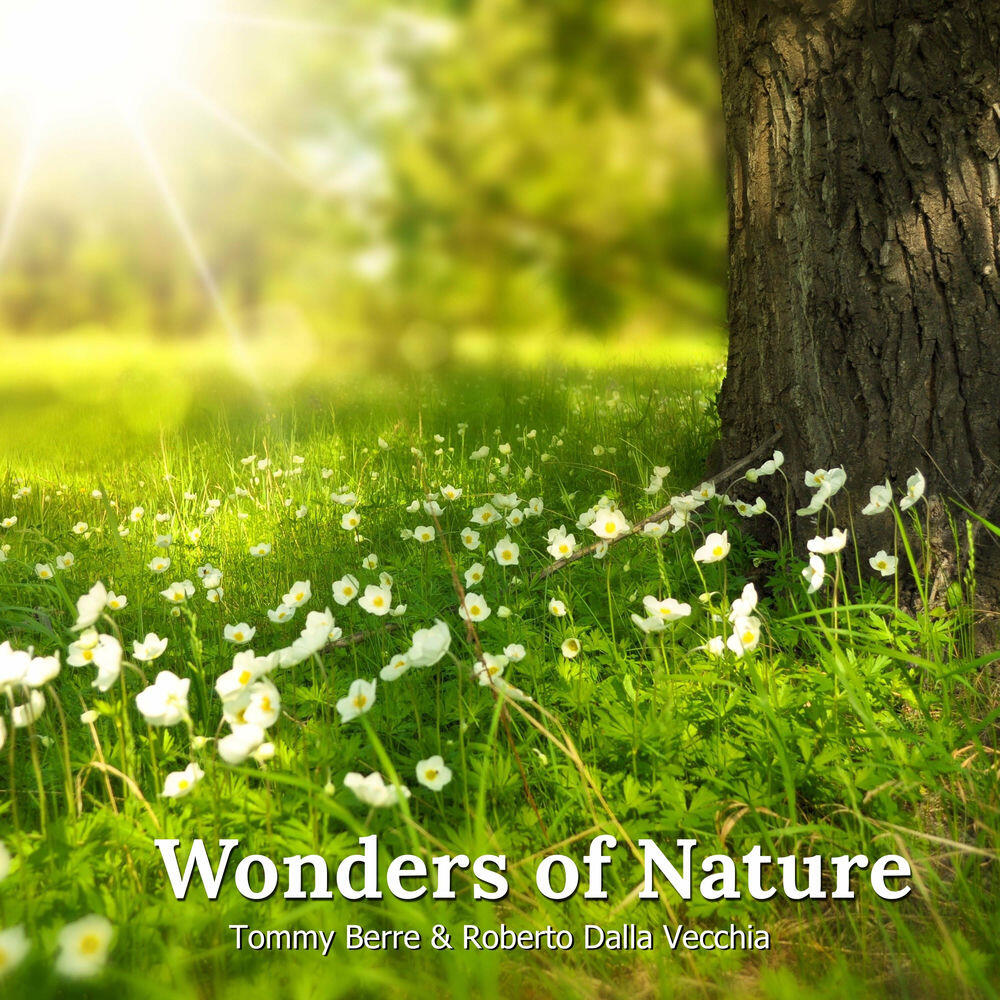 Релиз Wonders Of Nature