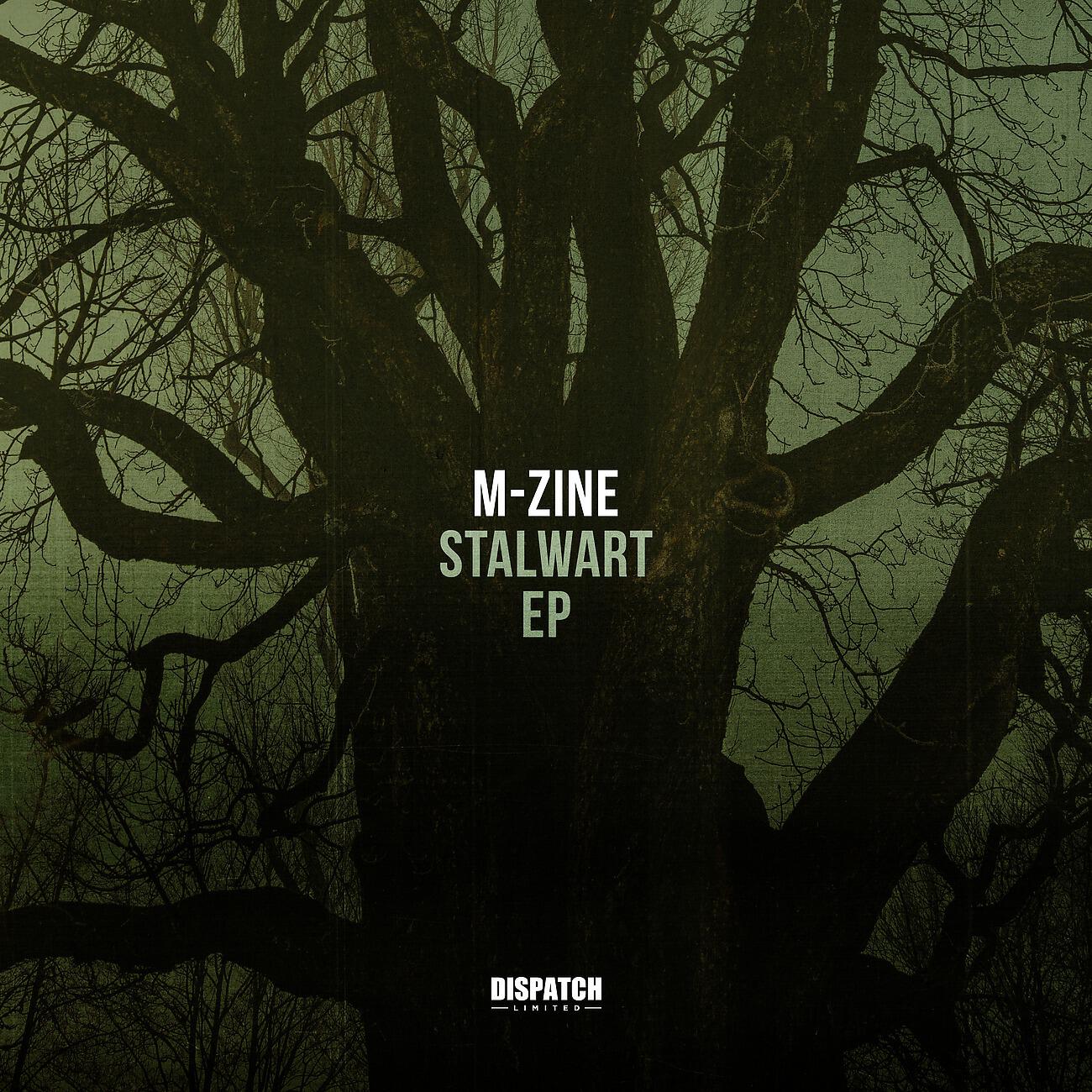 Релиз Stalwart EP