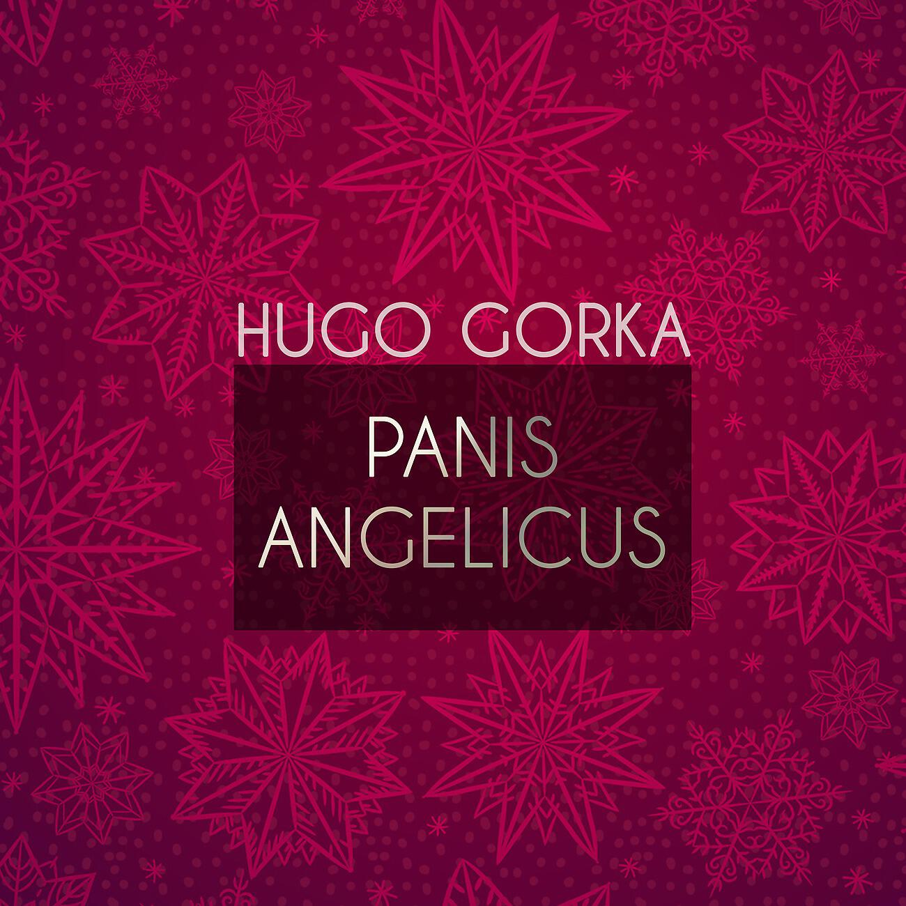 Hugo Gorka