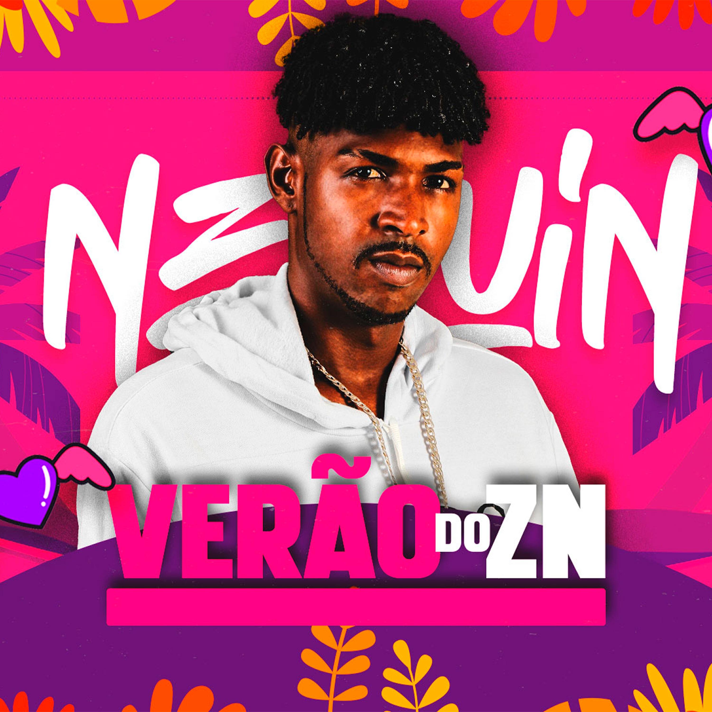 Релиз Verão do Zn