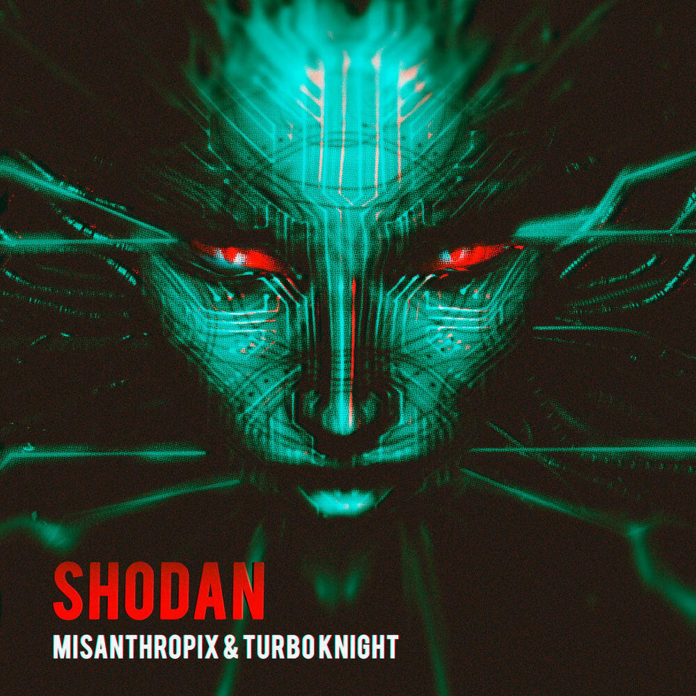 Релиз Shodan