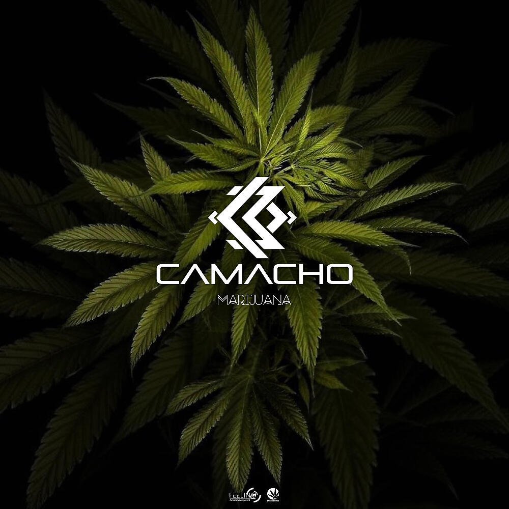 Релиз Marijuana