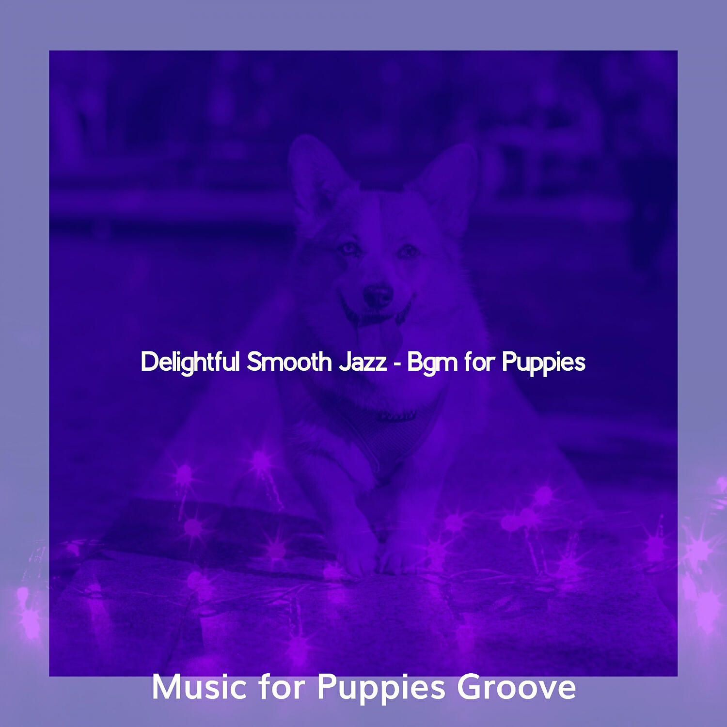 Music for Puppies Groove