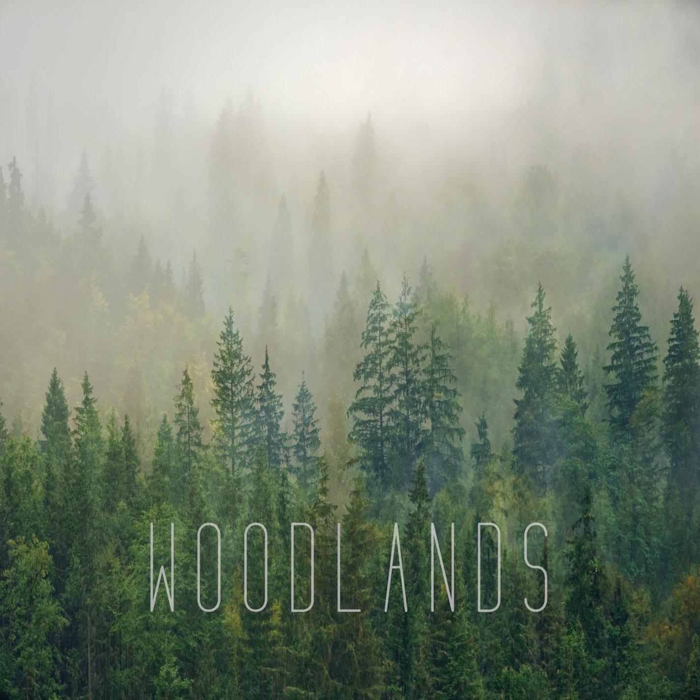 Релиз Woodlands
