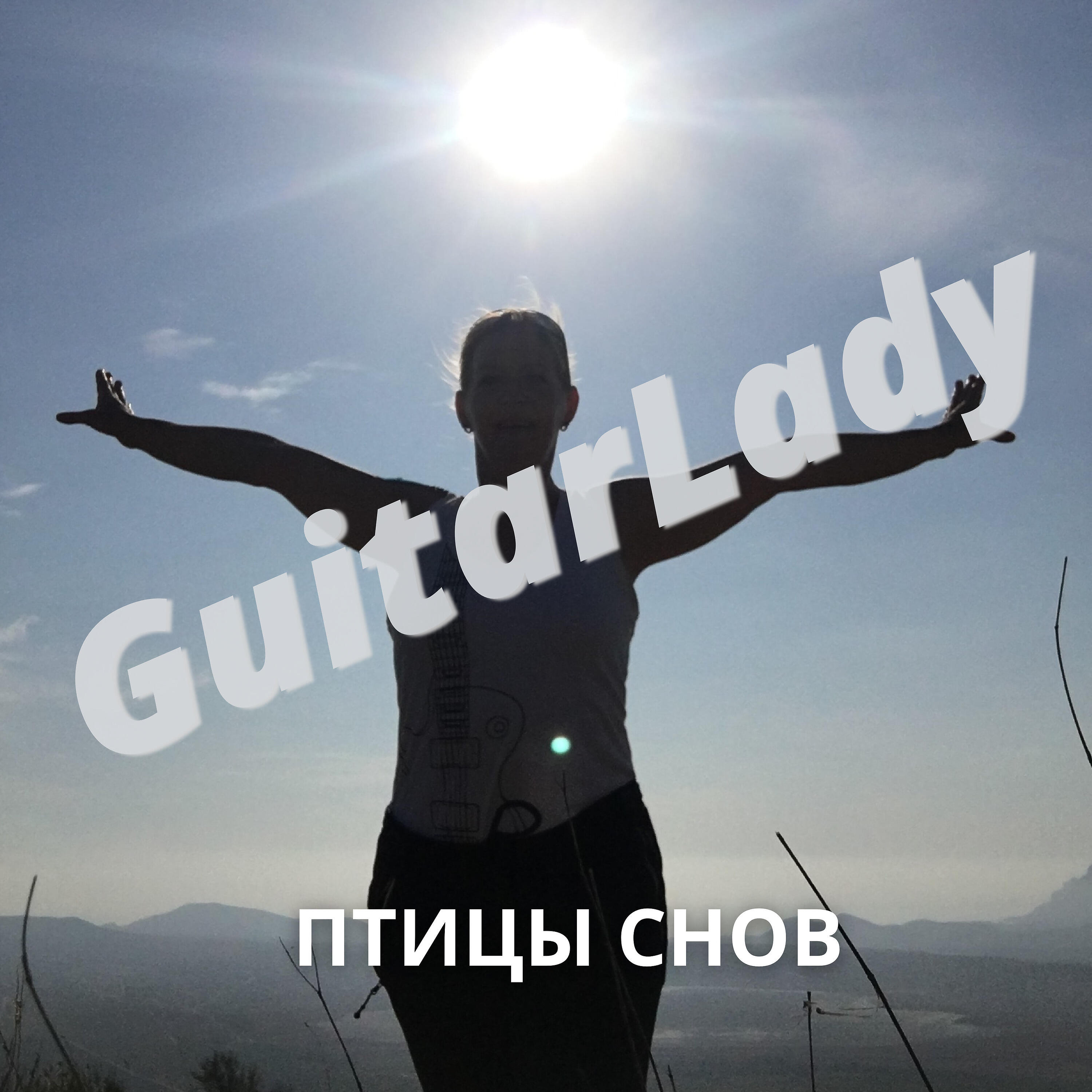 Релиз Птицы снов