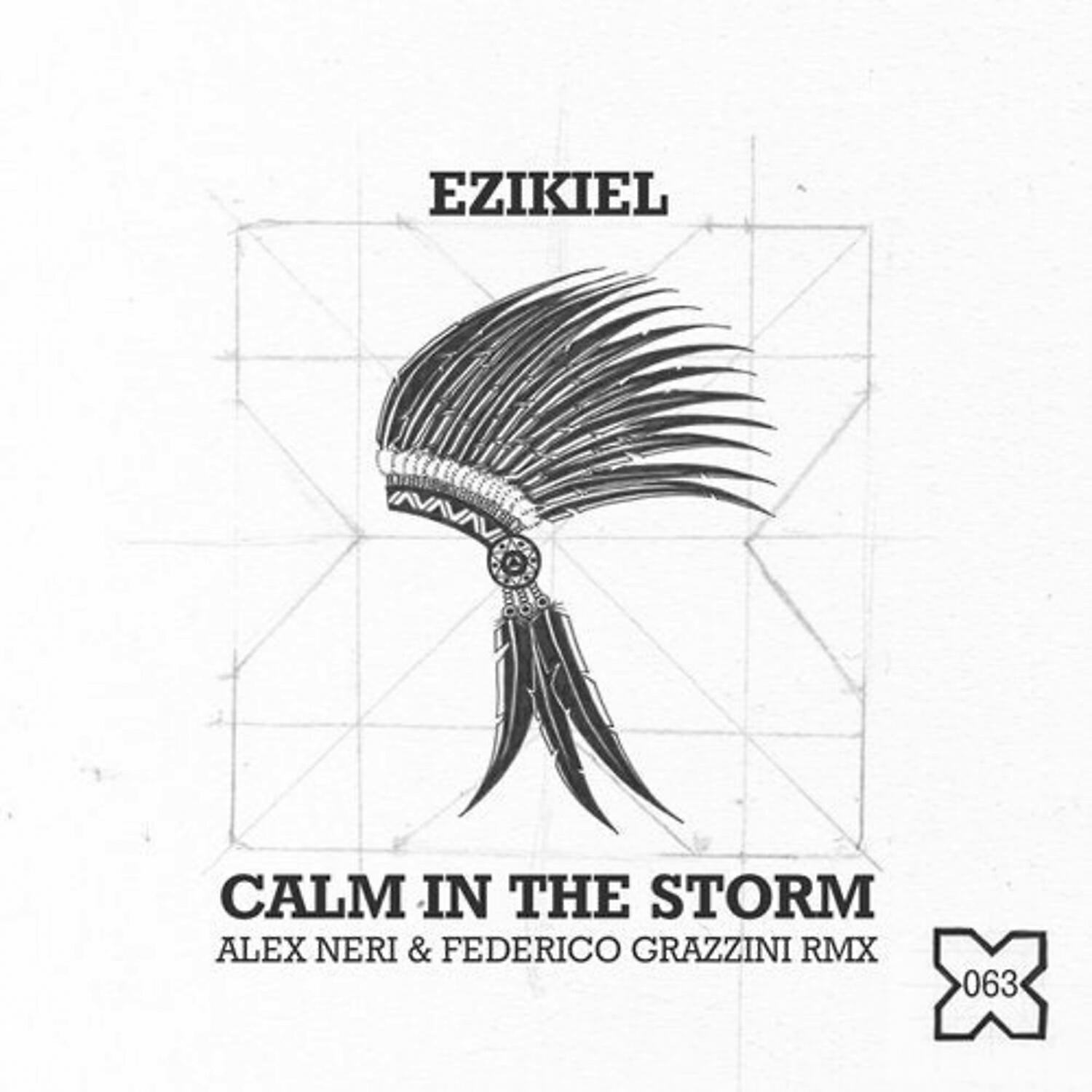 Релиз Calm in the Storm