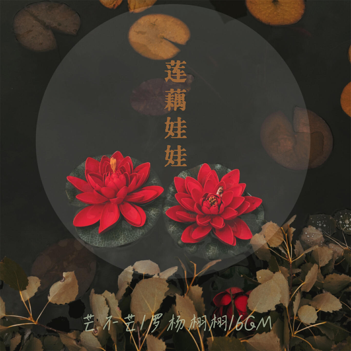 芒不芒
