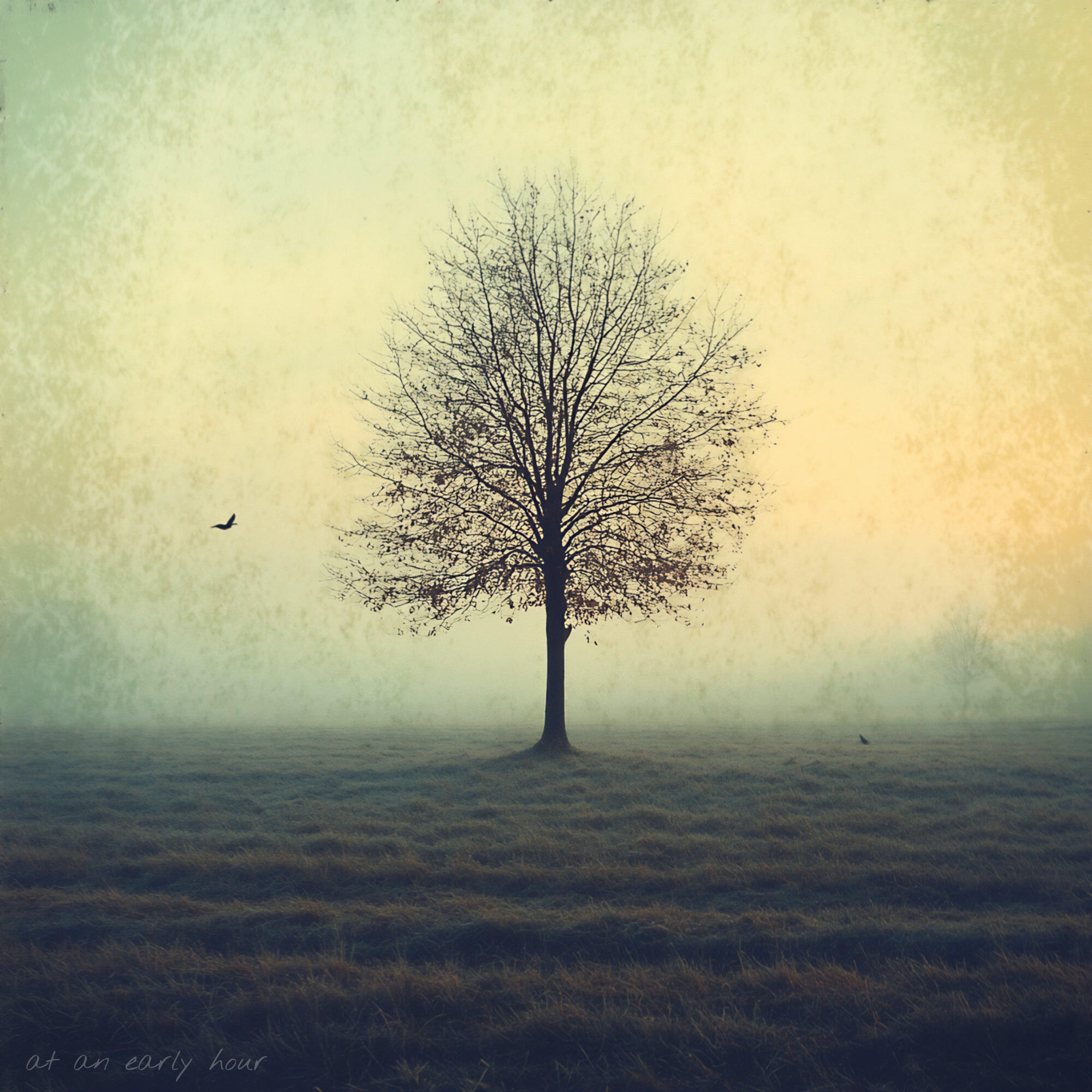 Релиз at an early hour