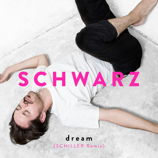 Релиз Dream (Schiller Remix)