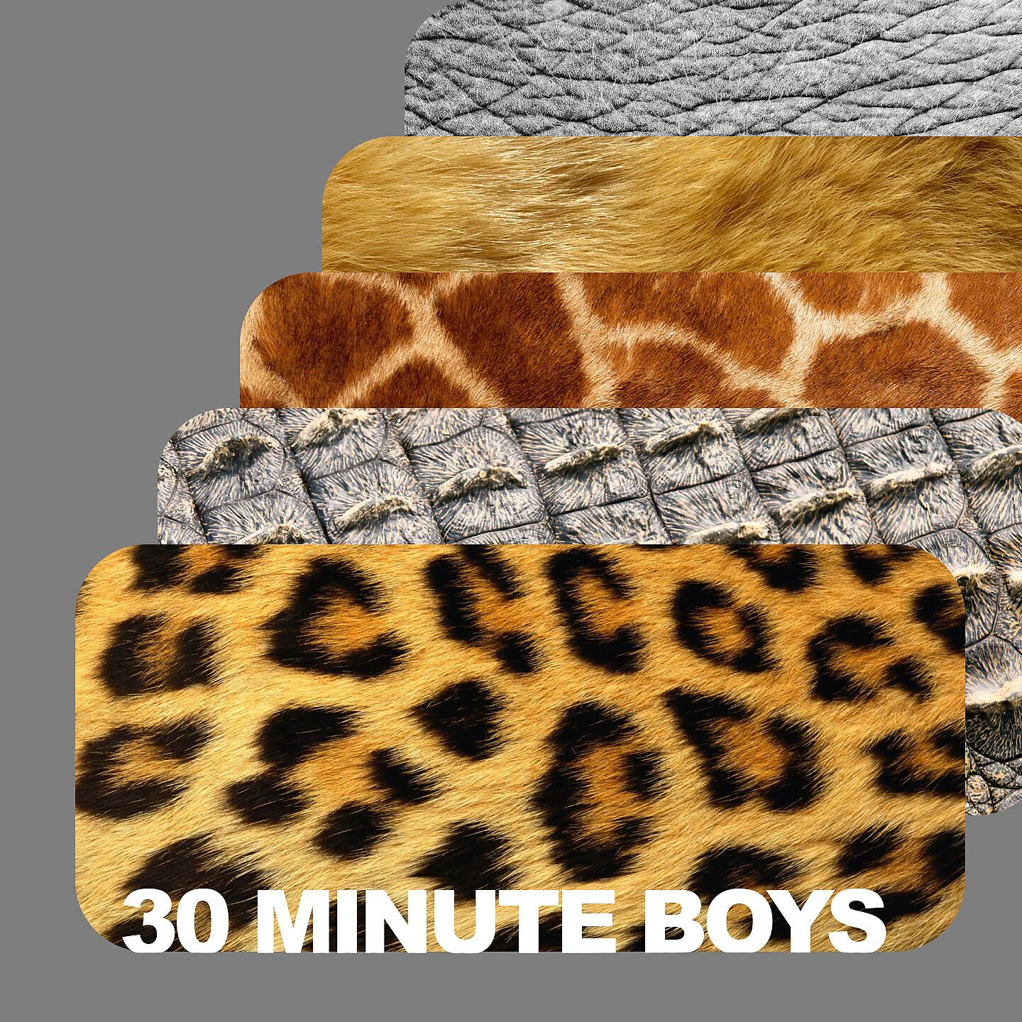 Релиз 30 Minute Boys