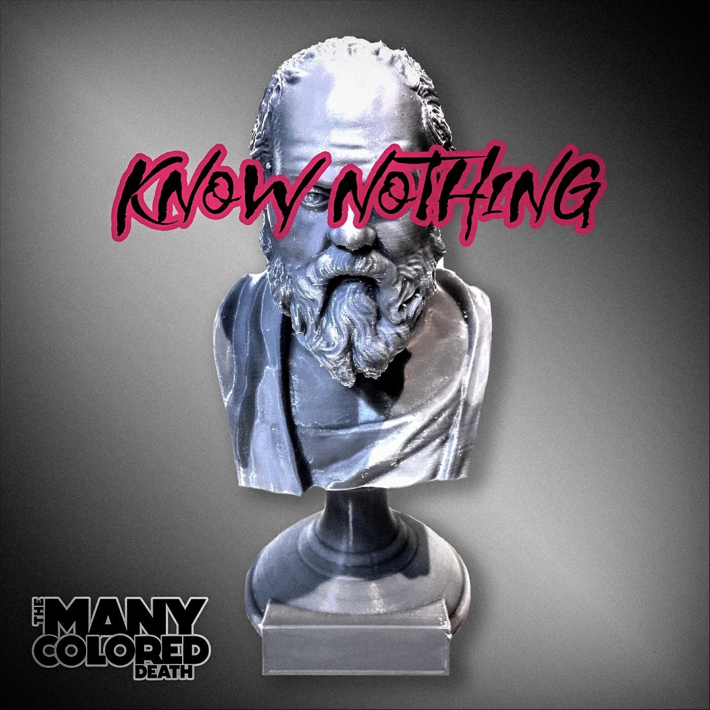 Релиз Know Nothing