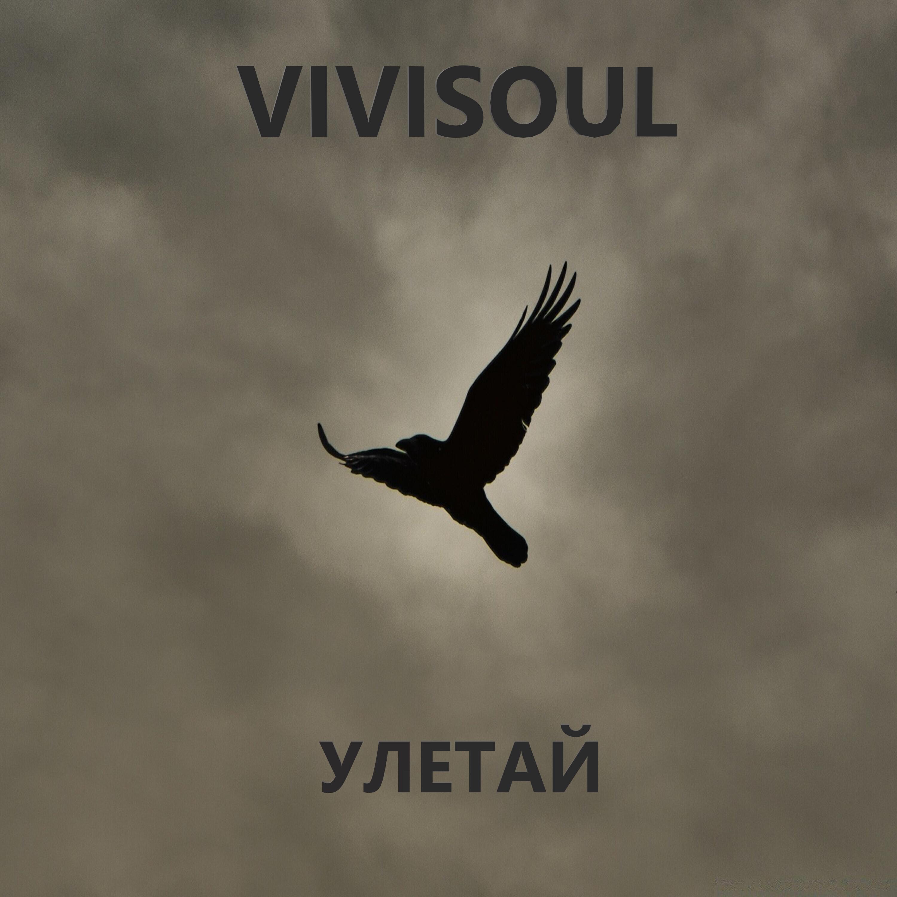 VIVISOUL