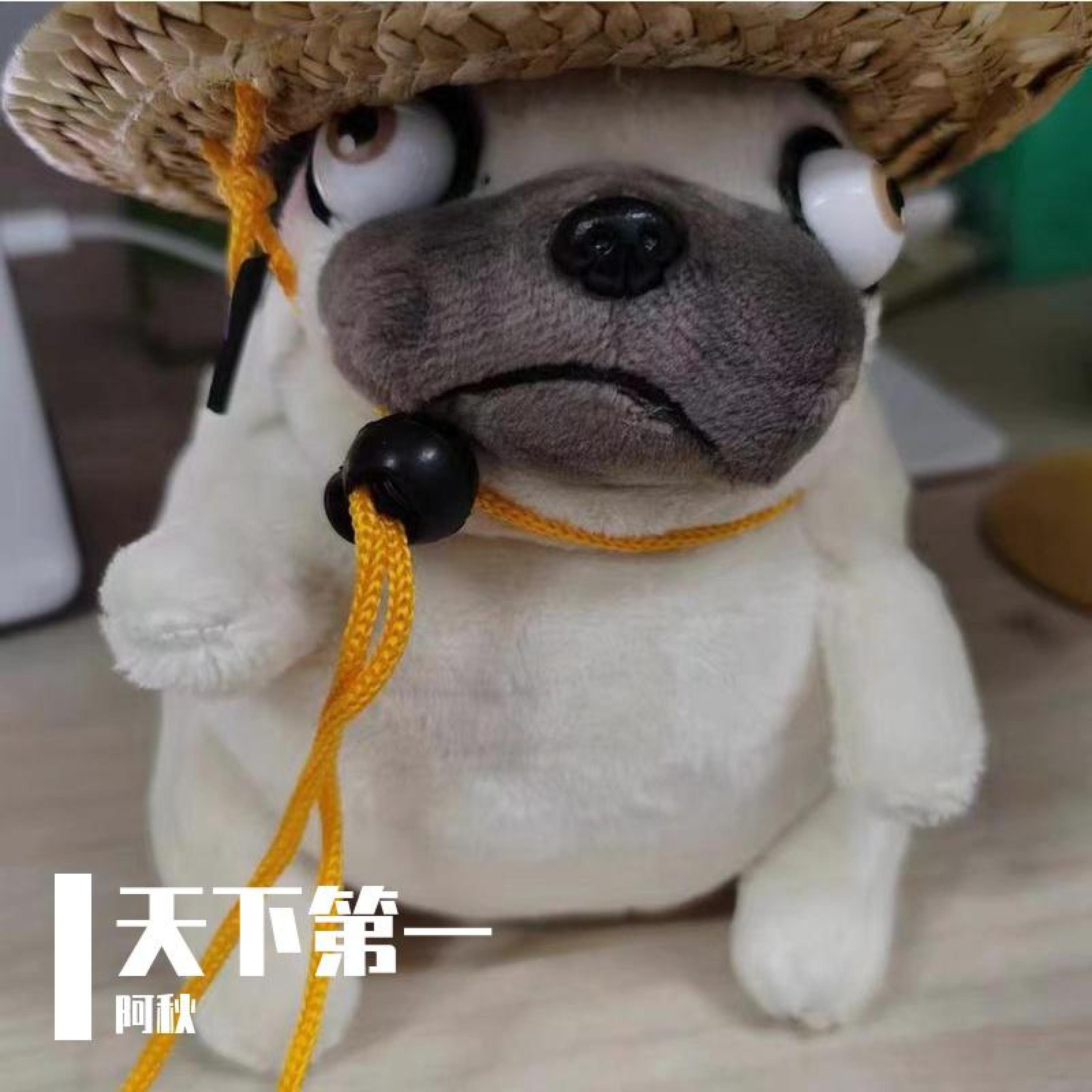 Релиз 天下第一：云中龙
