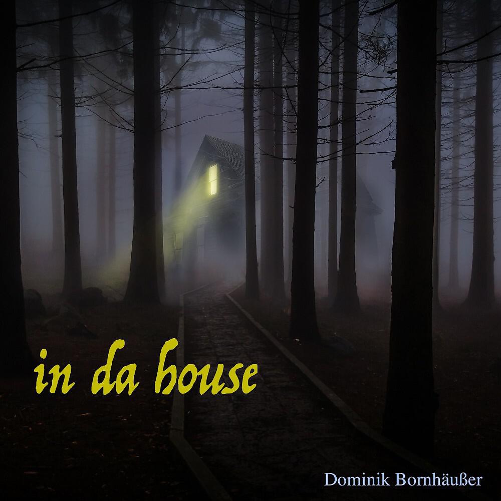 Релиз In da House