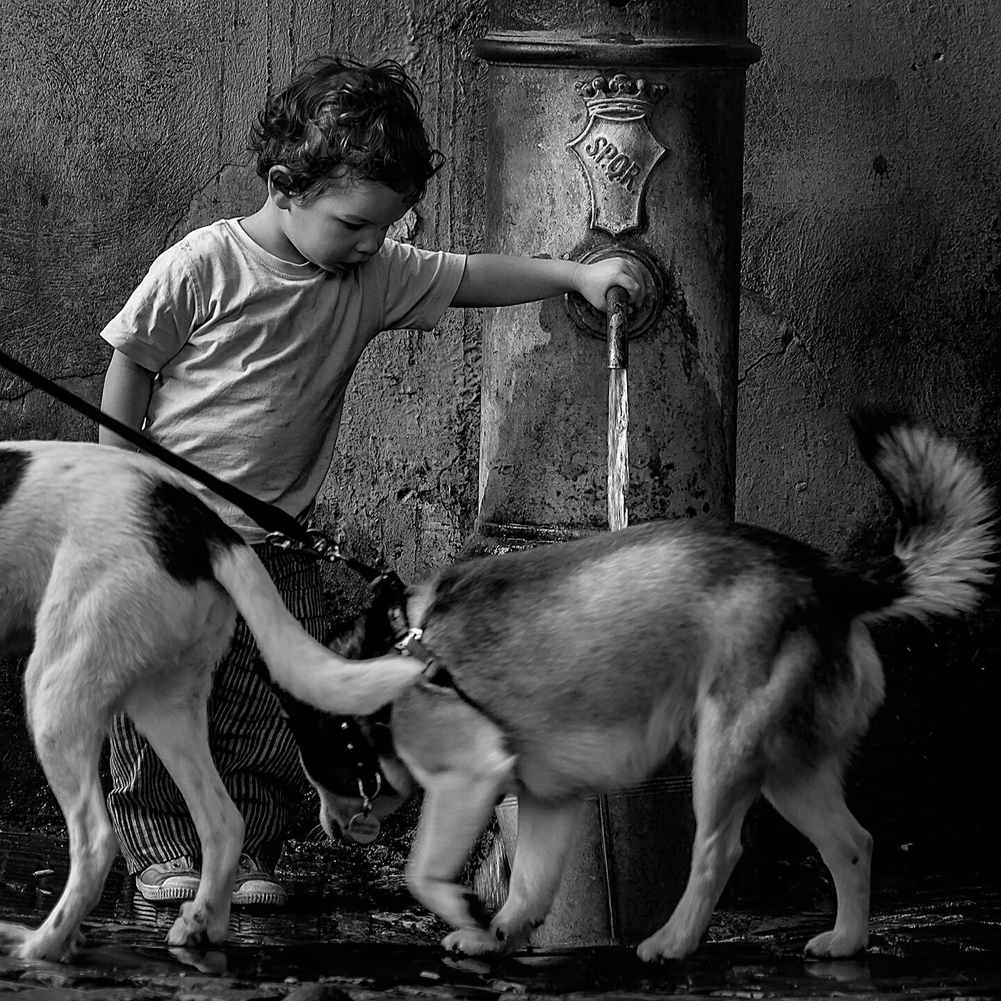 Релиз Poesia per Roma