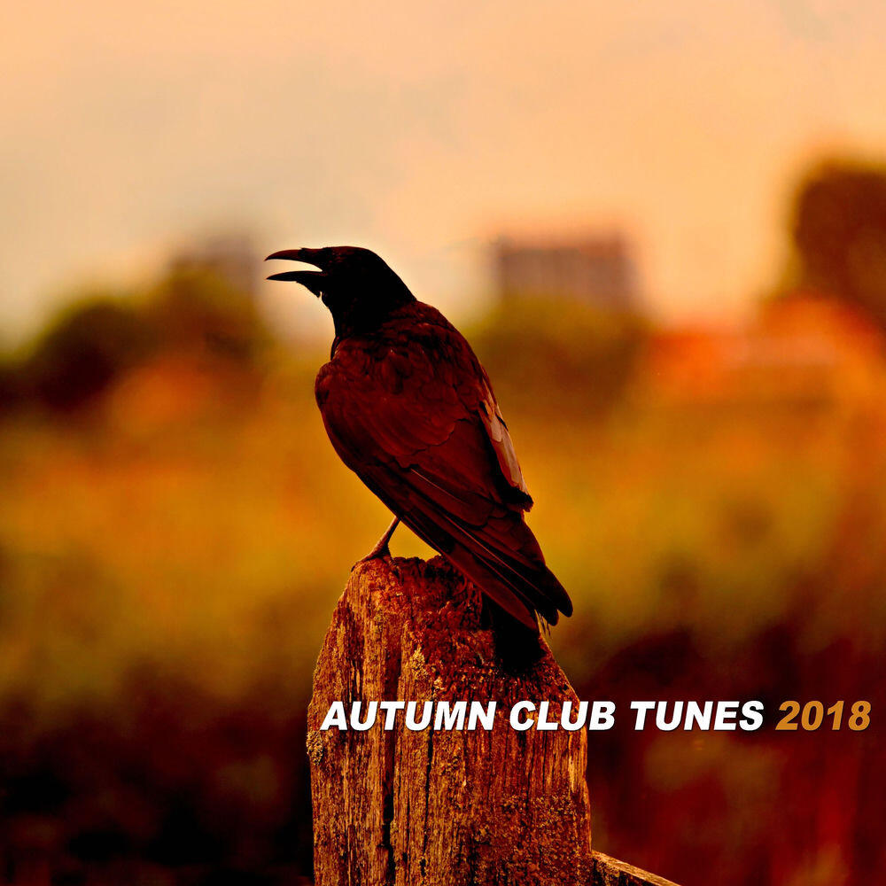 Релиз Autumn Club Tunes 2018
