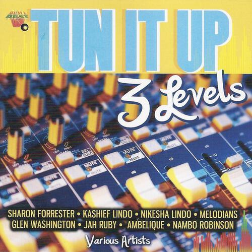 Релиз Tun It Up (3 Levels)