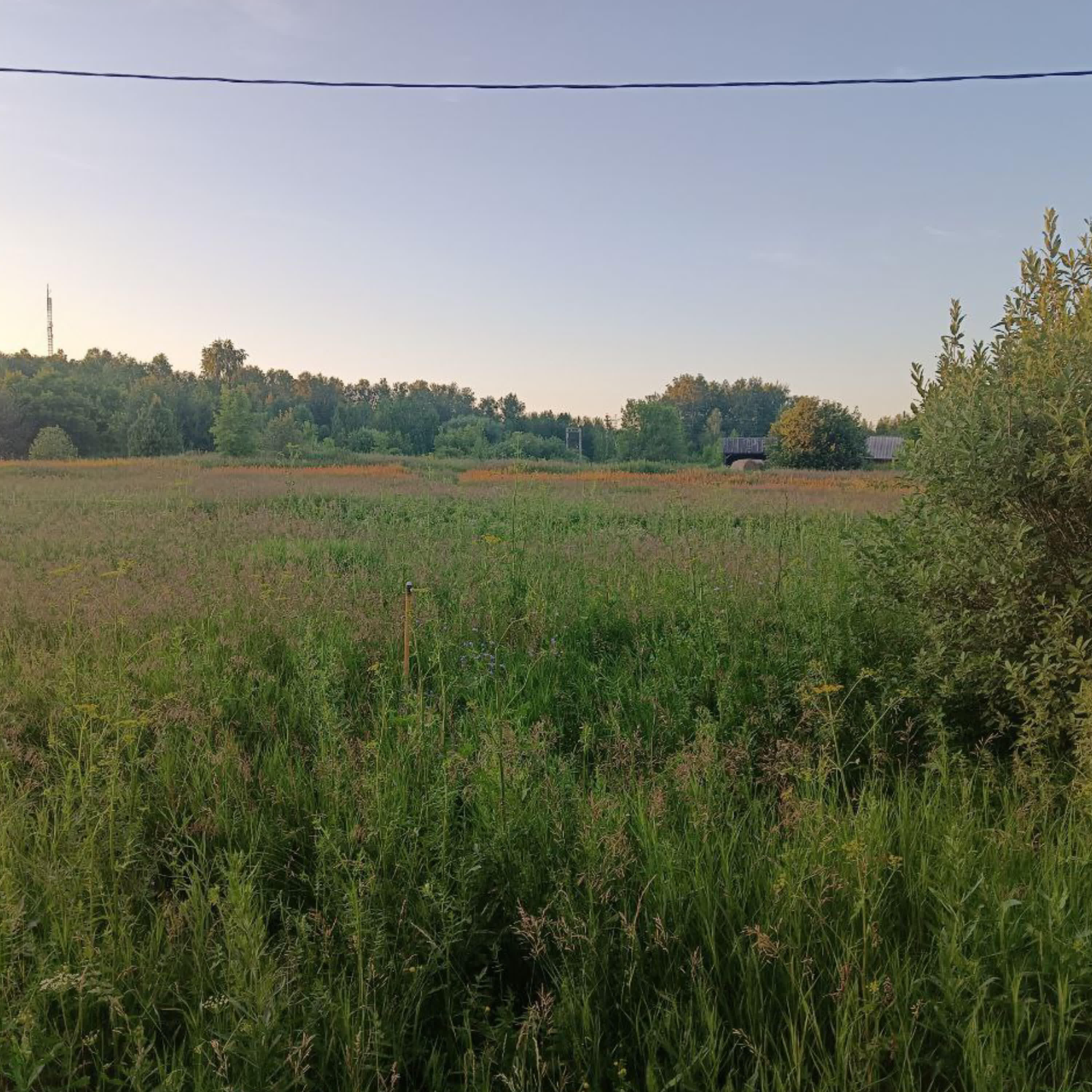 Релиз Наступило лето
