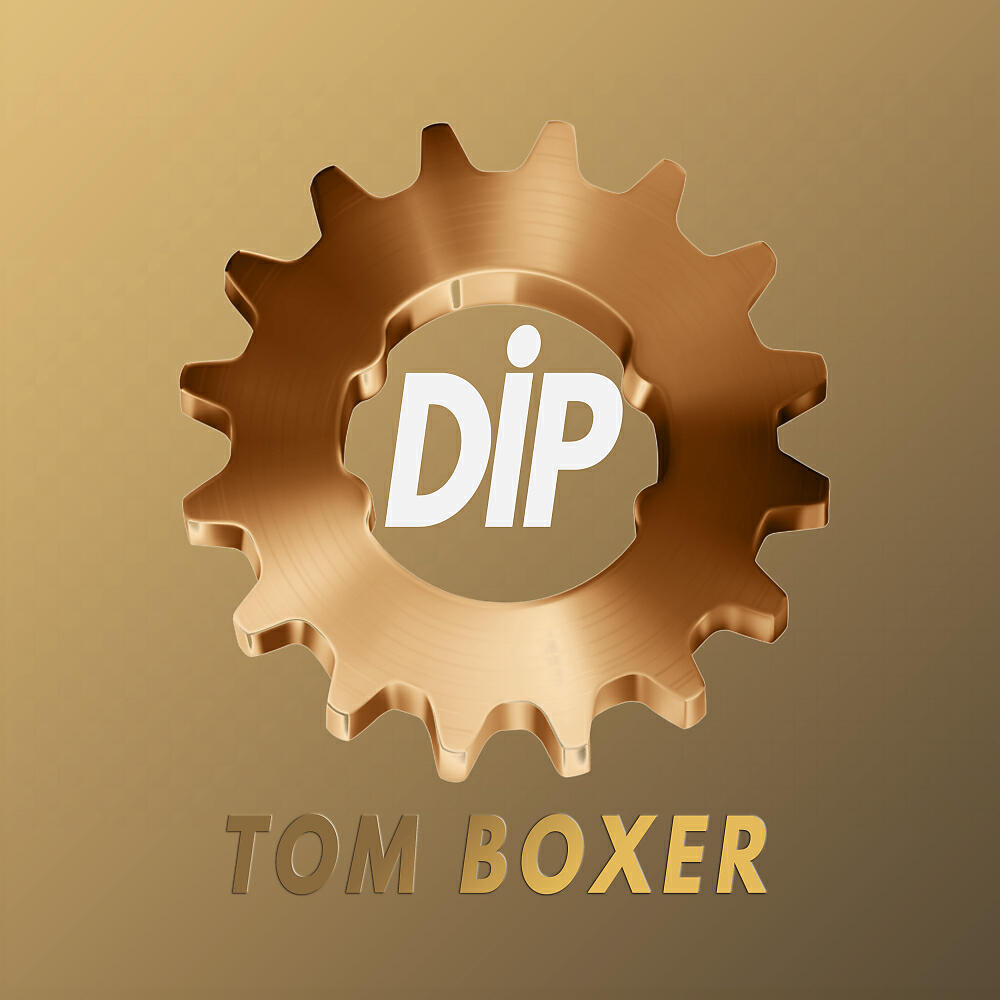 Релиз DIP