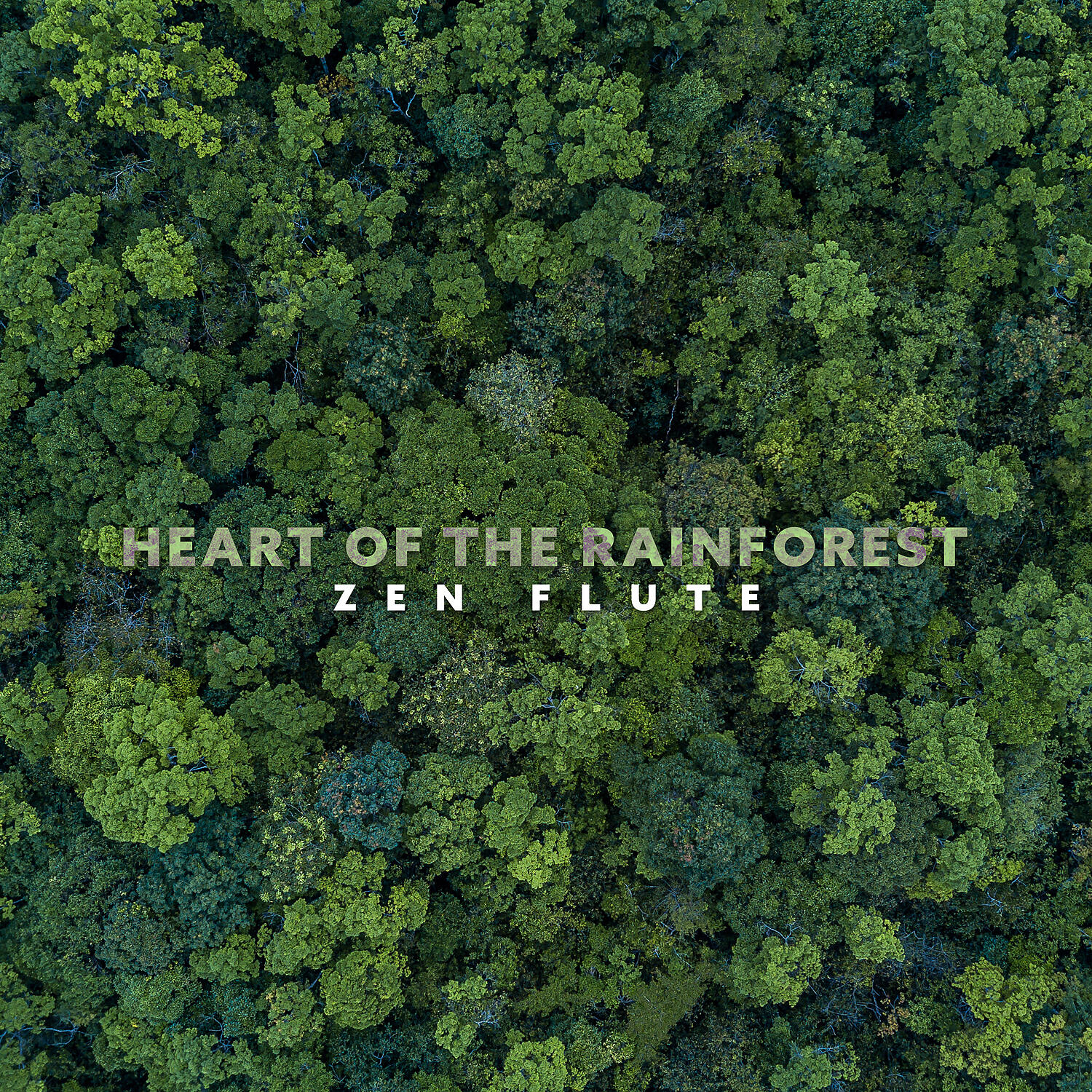 Релиз Heart of the Rainforest: Zen Flute