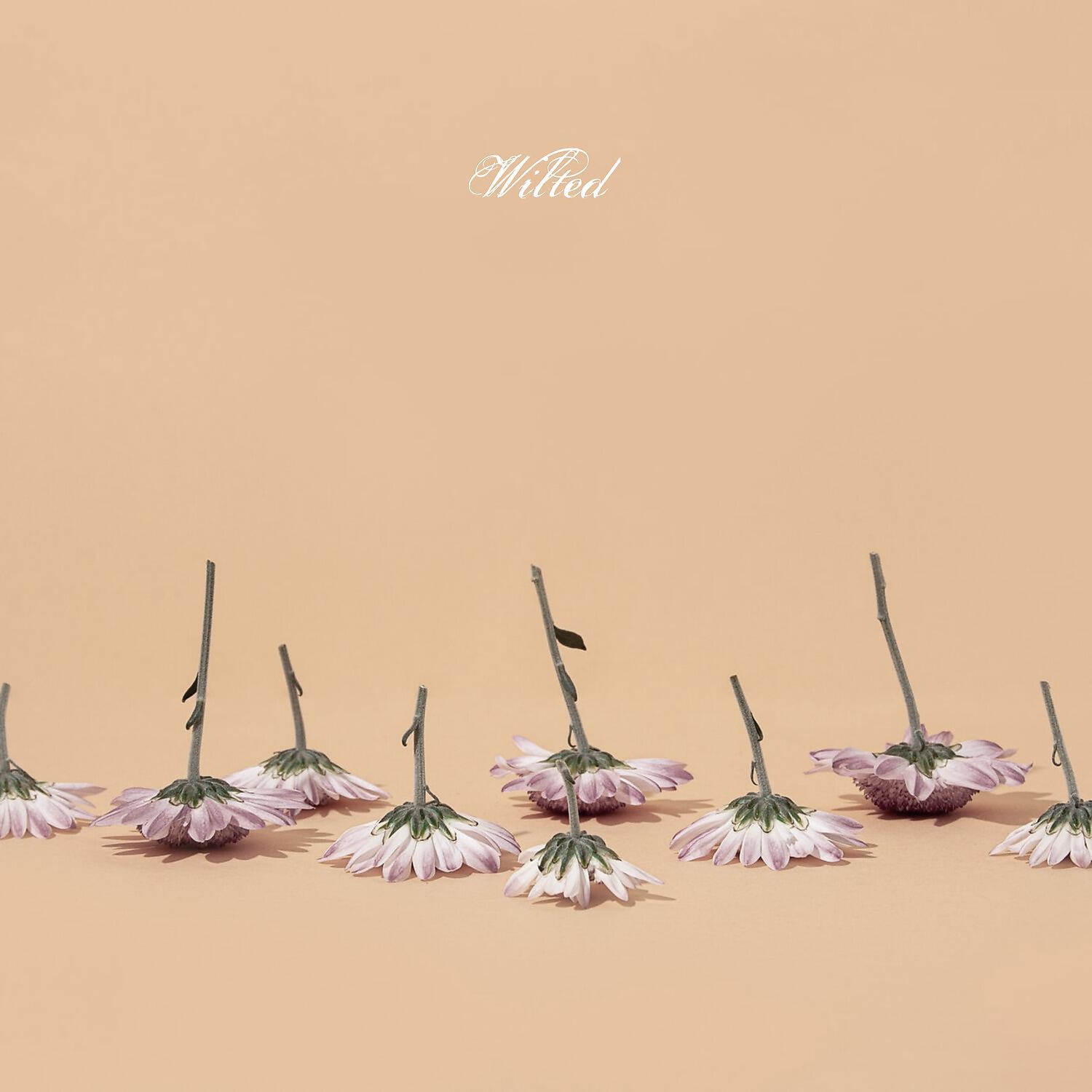 Релиз Wilted