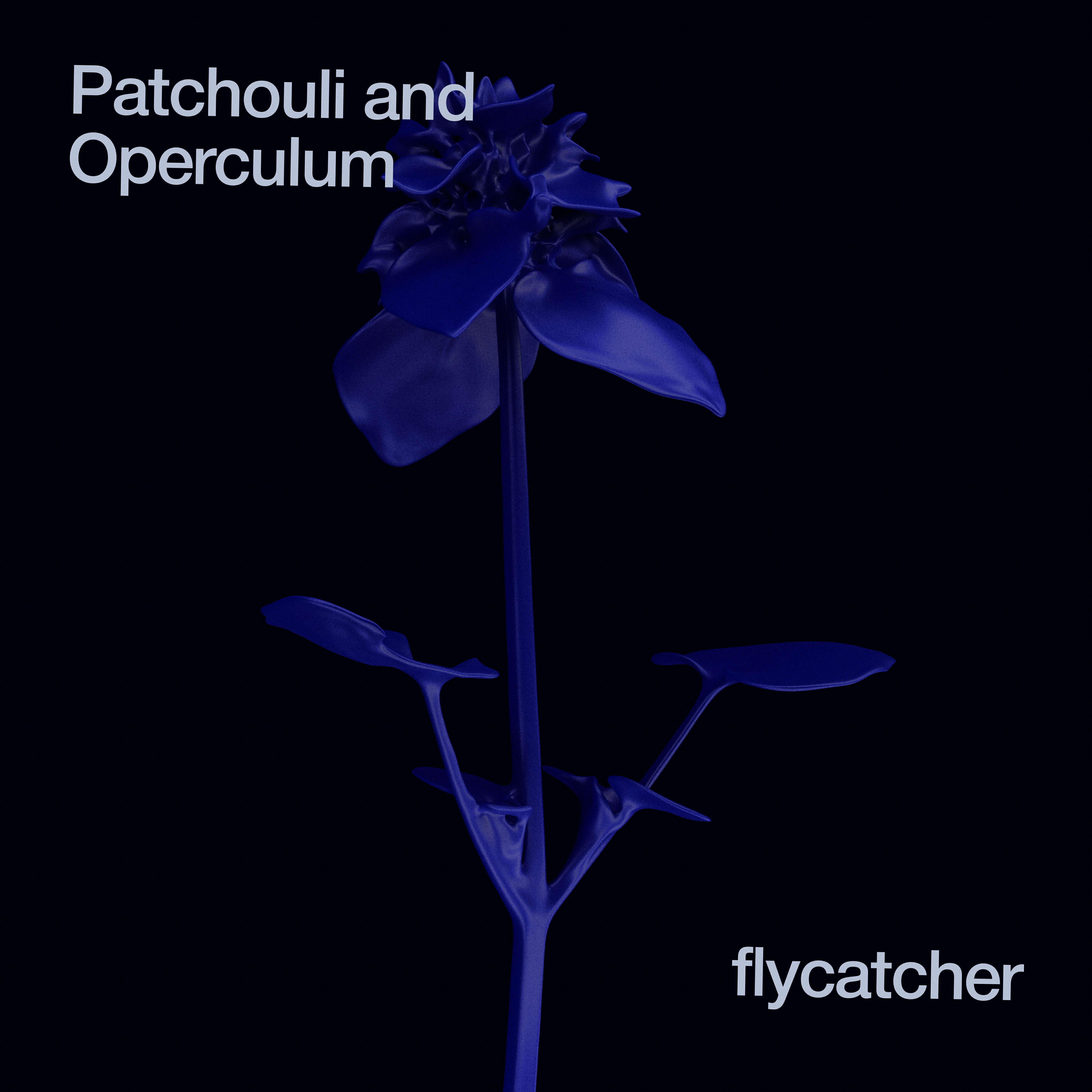 Релиз Patchouli and Operculum