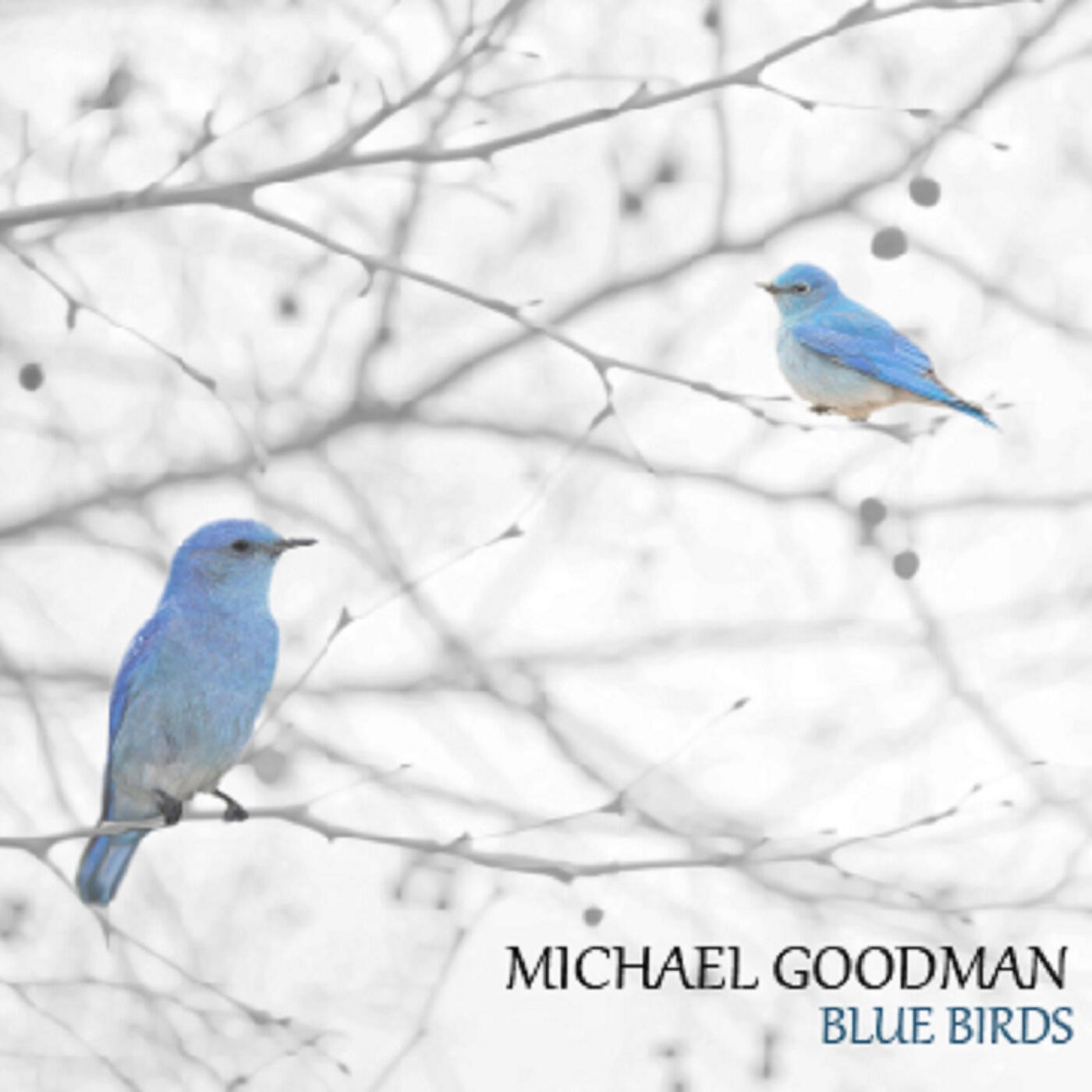 Релиз Blue Birds