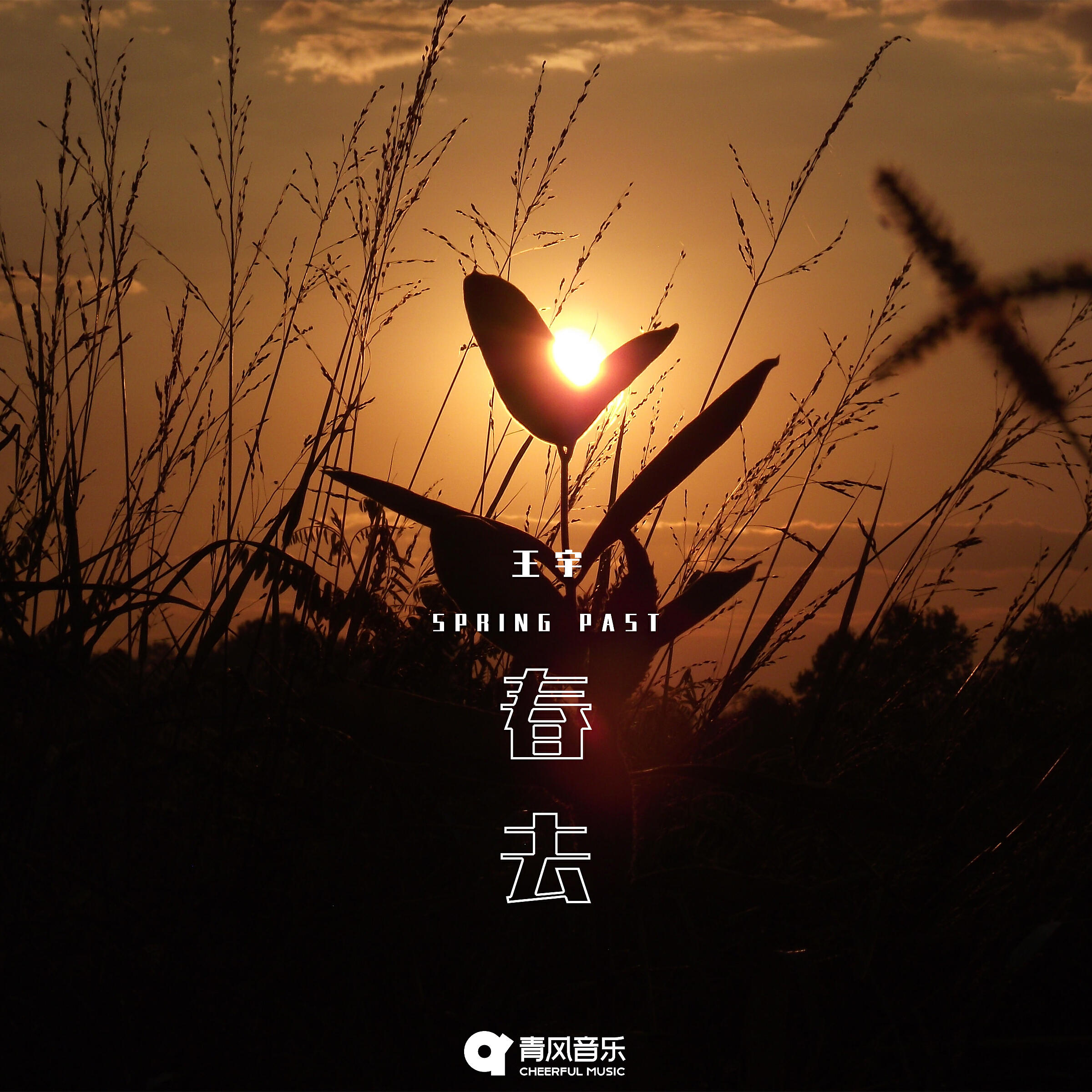 王宇