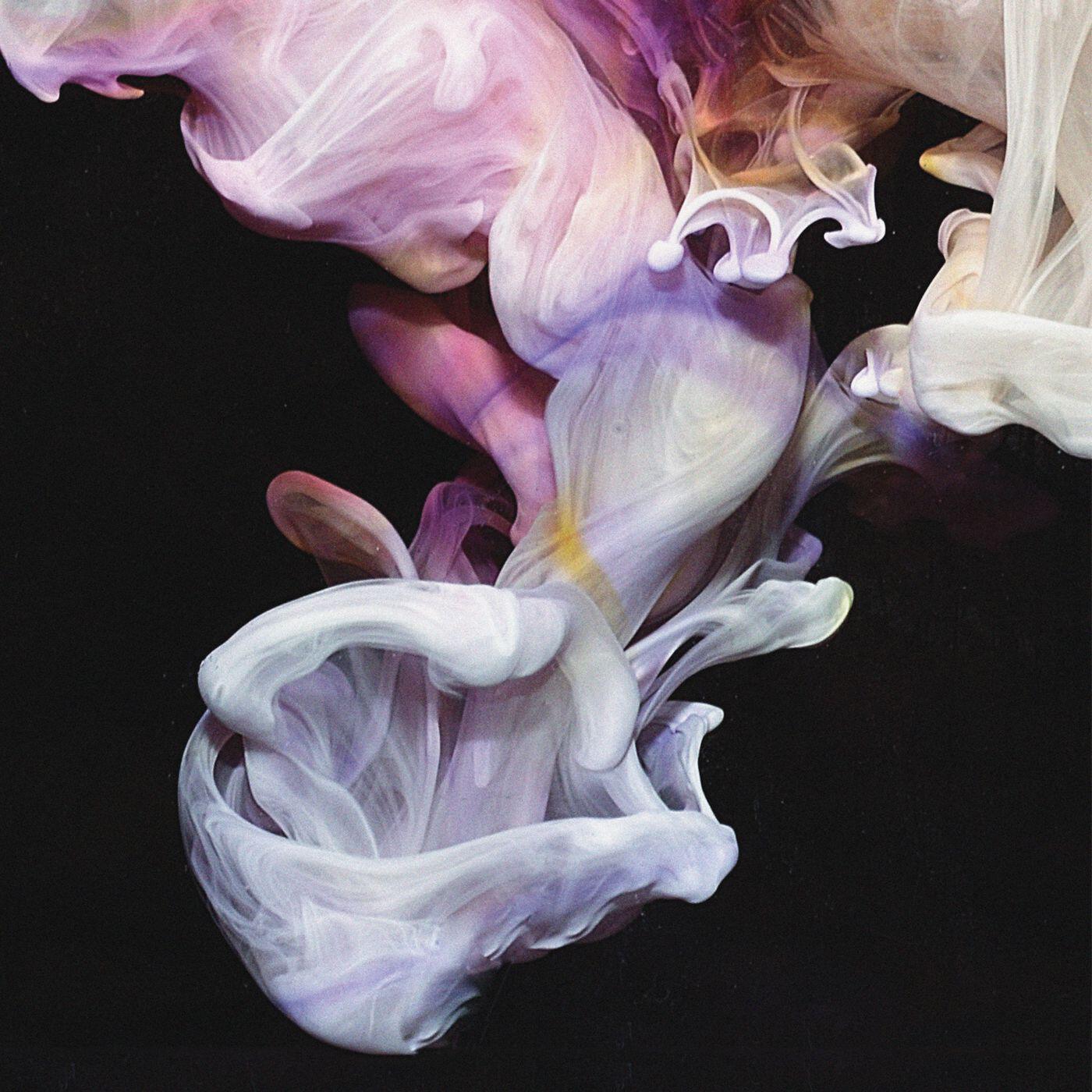 Релиз Murmurations