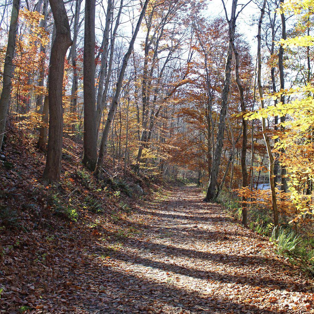 Релиз Autumn Years