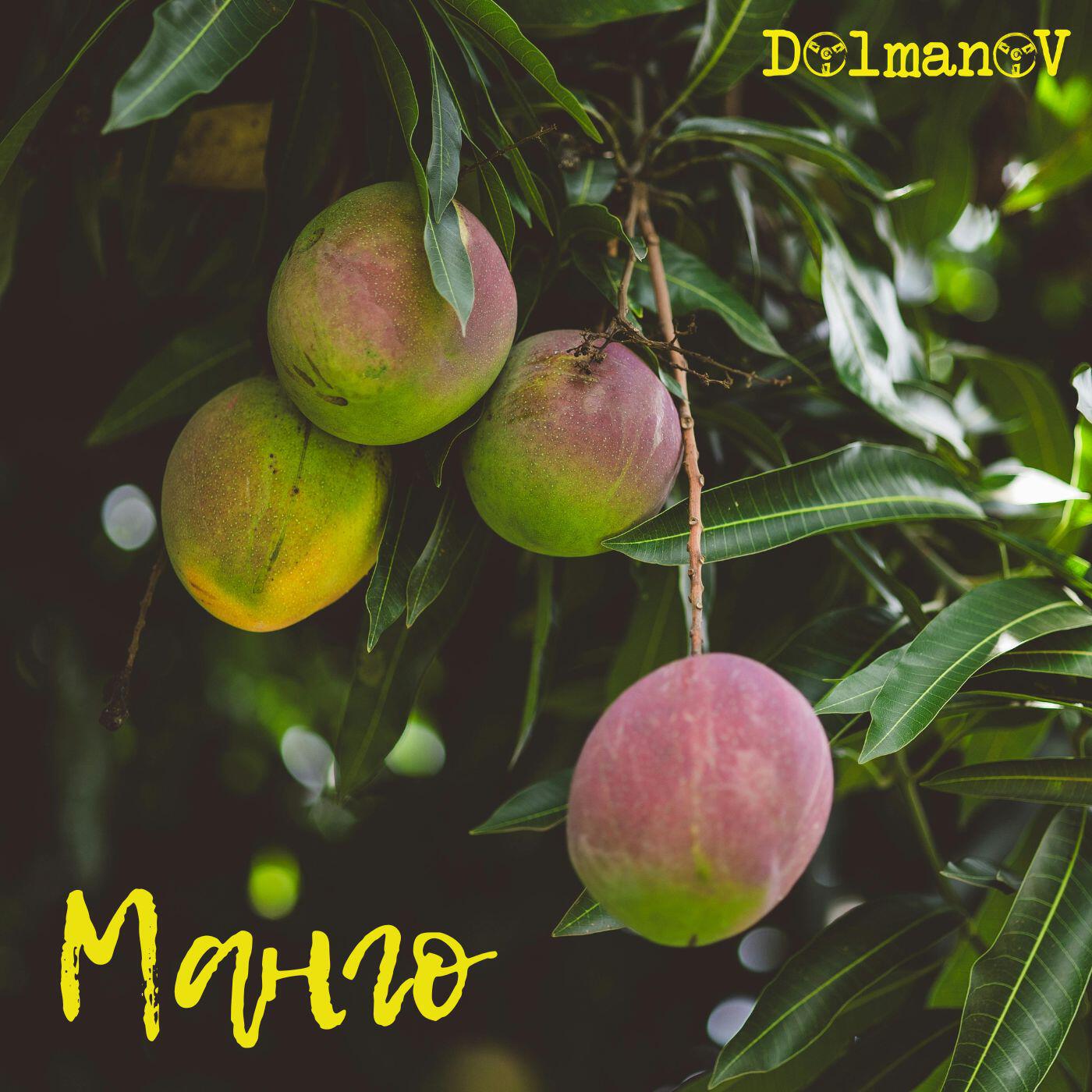 Релиз Манго