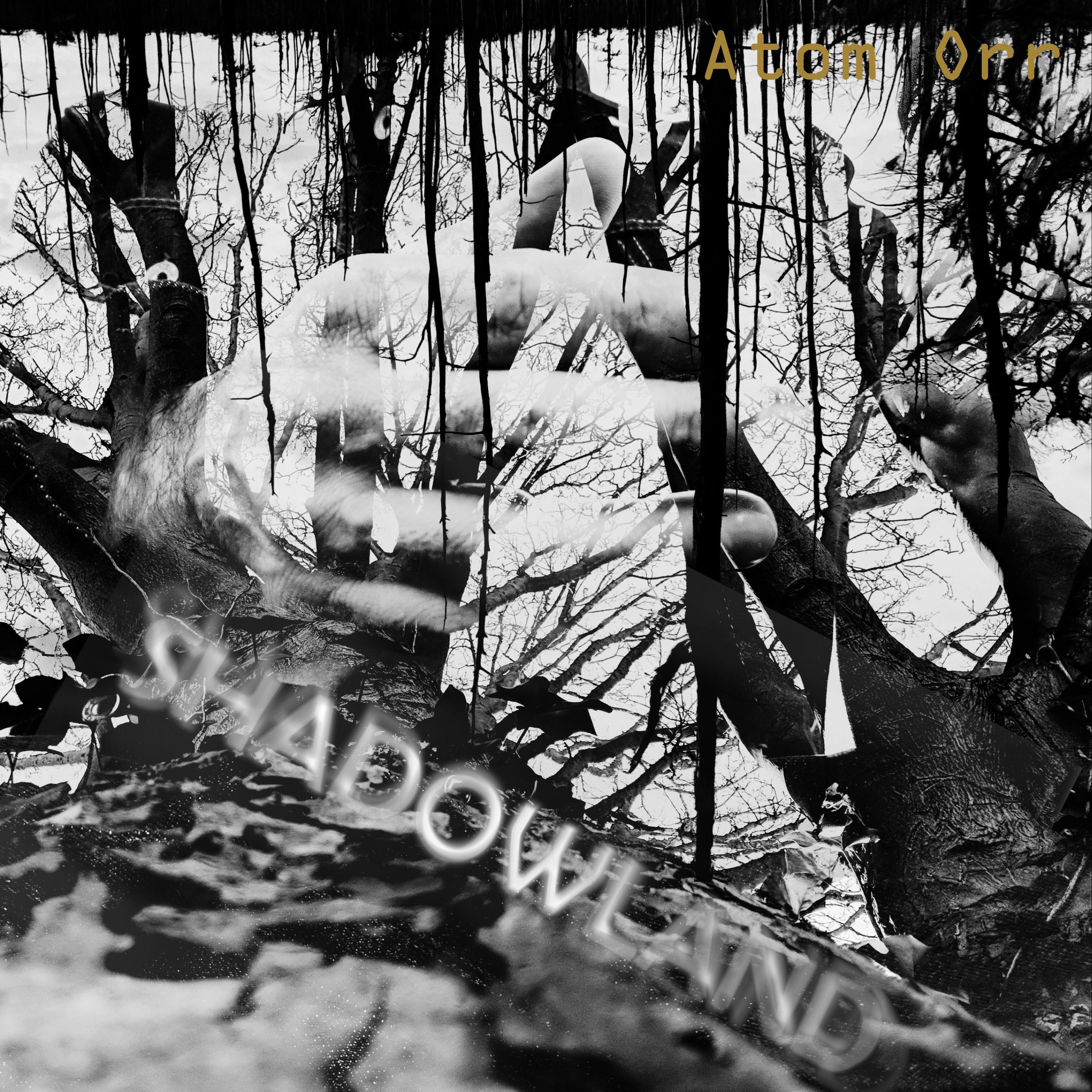 Релиз Shadowland