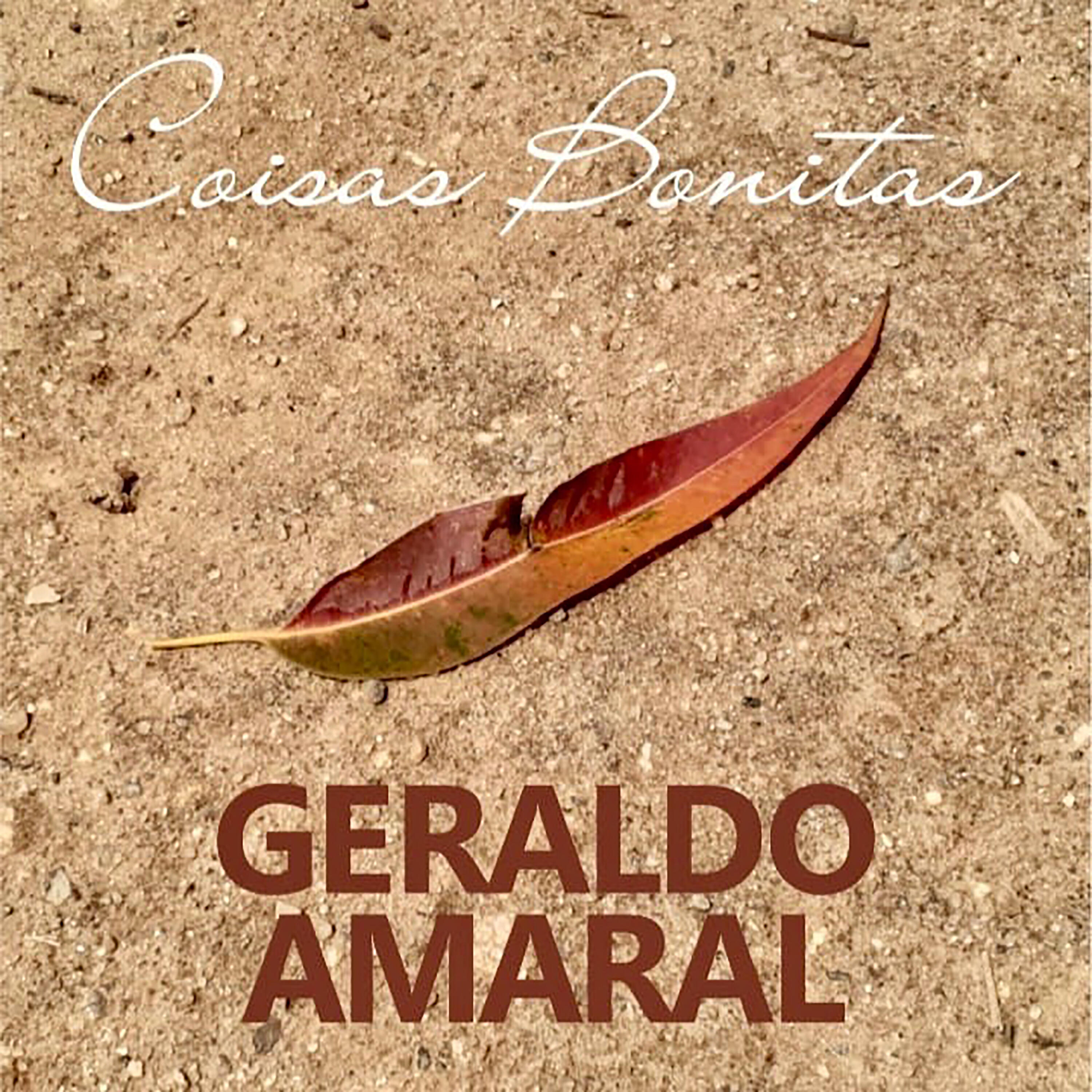 Geraldo Amaral