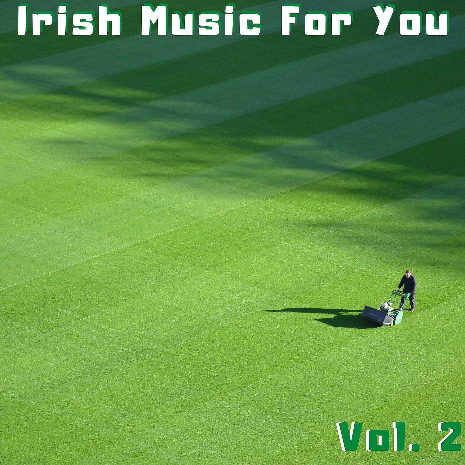 Релиз Irish Music for You Vol. 2
